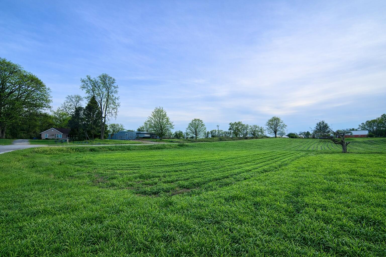 15774 Townline Road Buchanan MI 49107