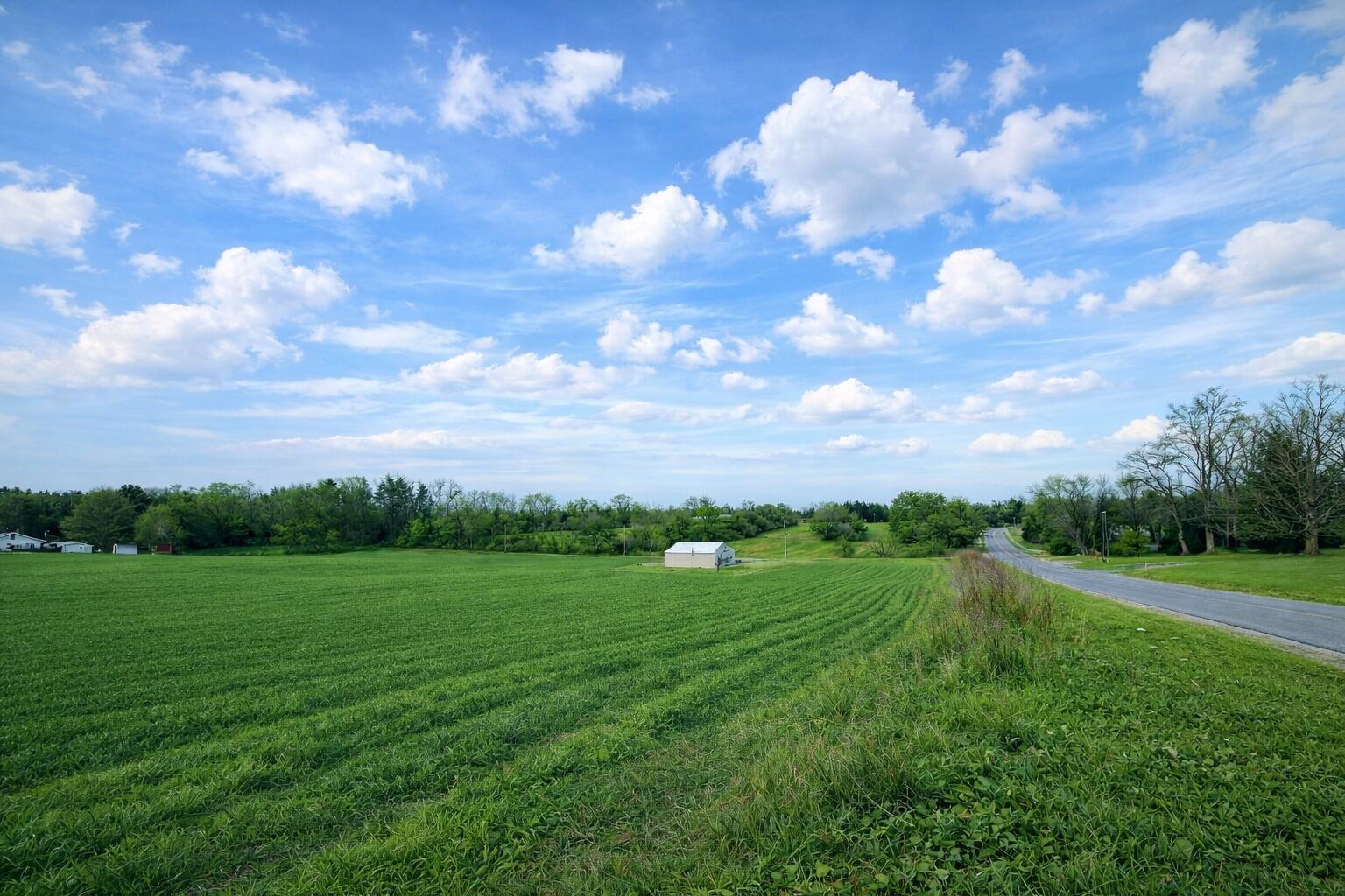 15774 Townline Road Buchanan MI 49107