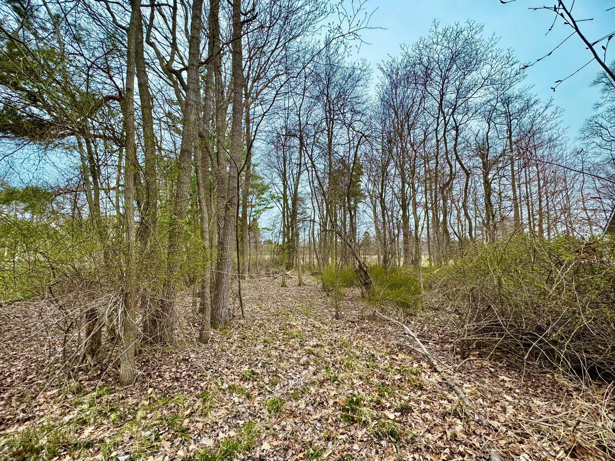 125 W Shore Drive Douglas MI 49406