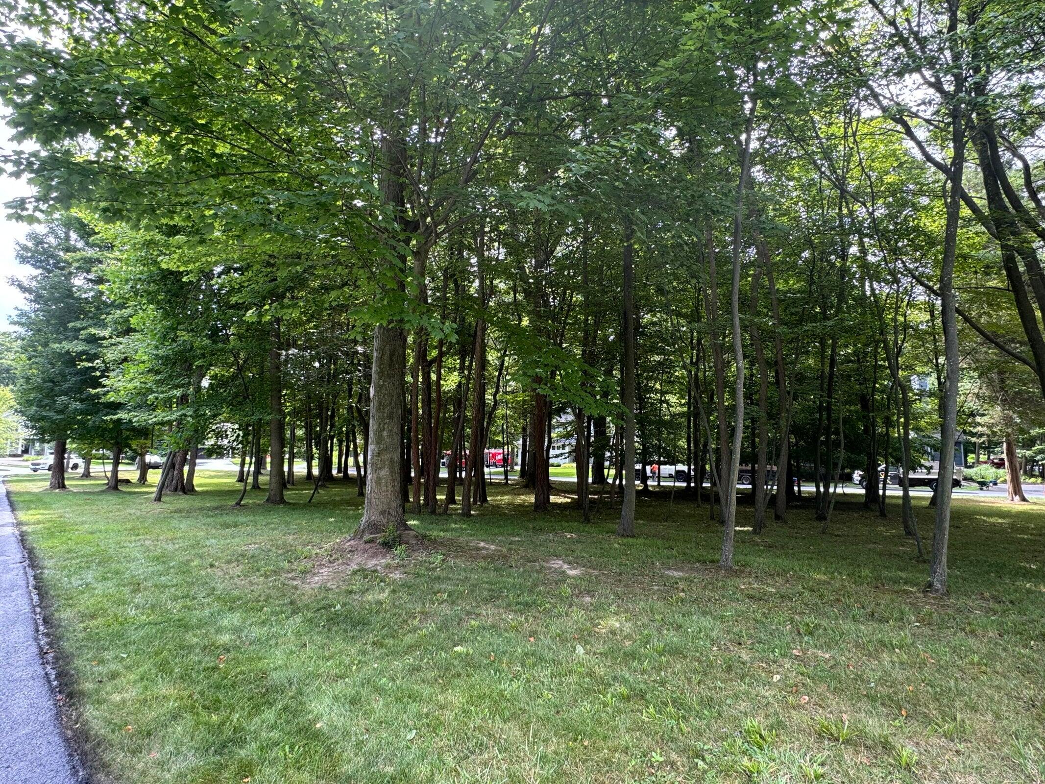 125 W Shore Drive Douglas MI 49406
