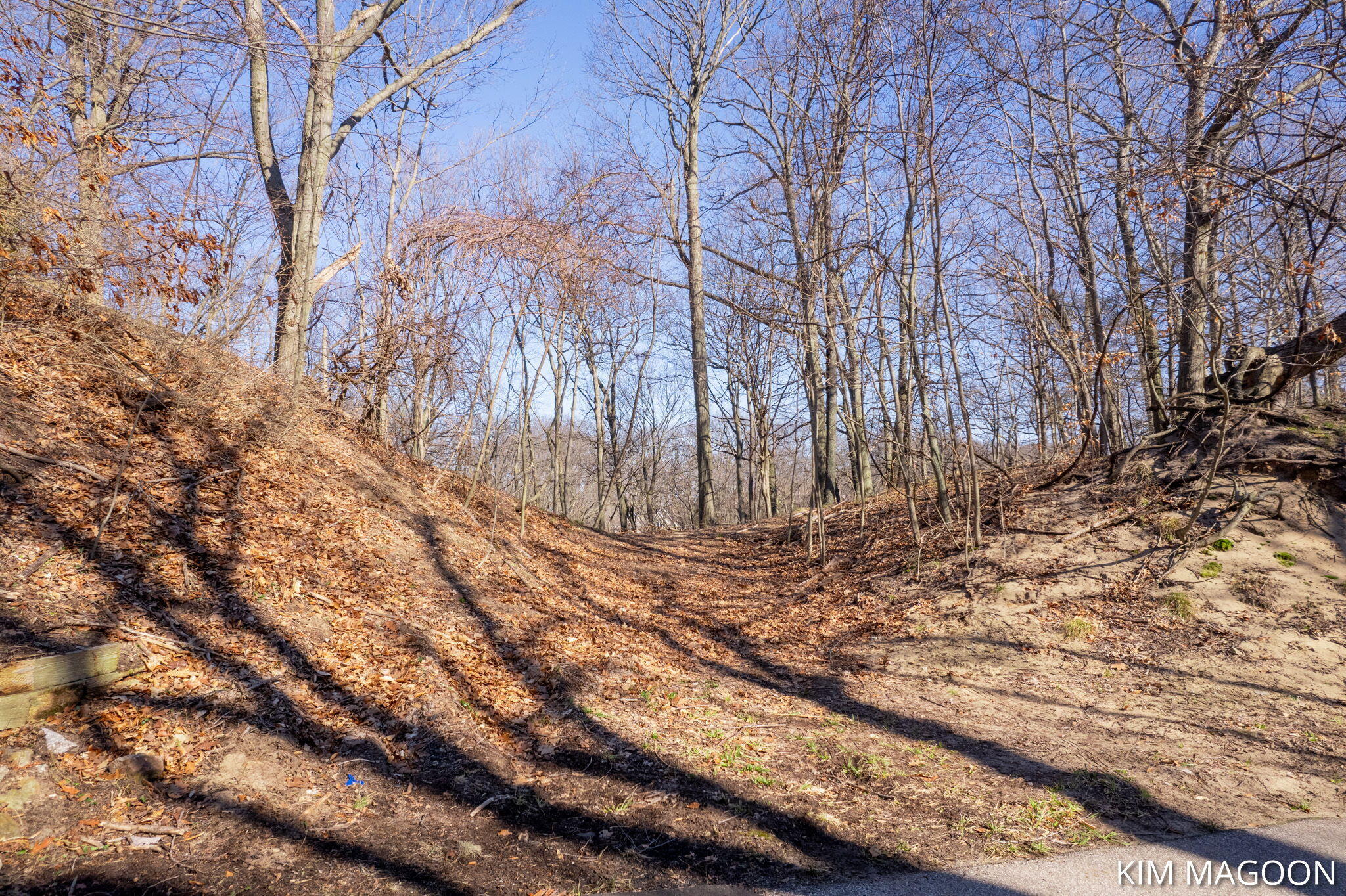 Lot 45 Valleywood Court Holland MI 49423