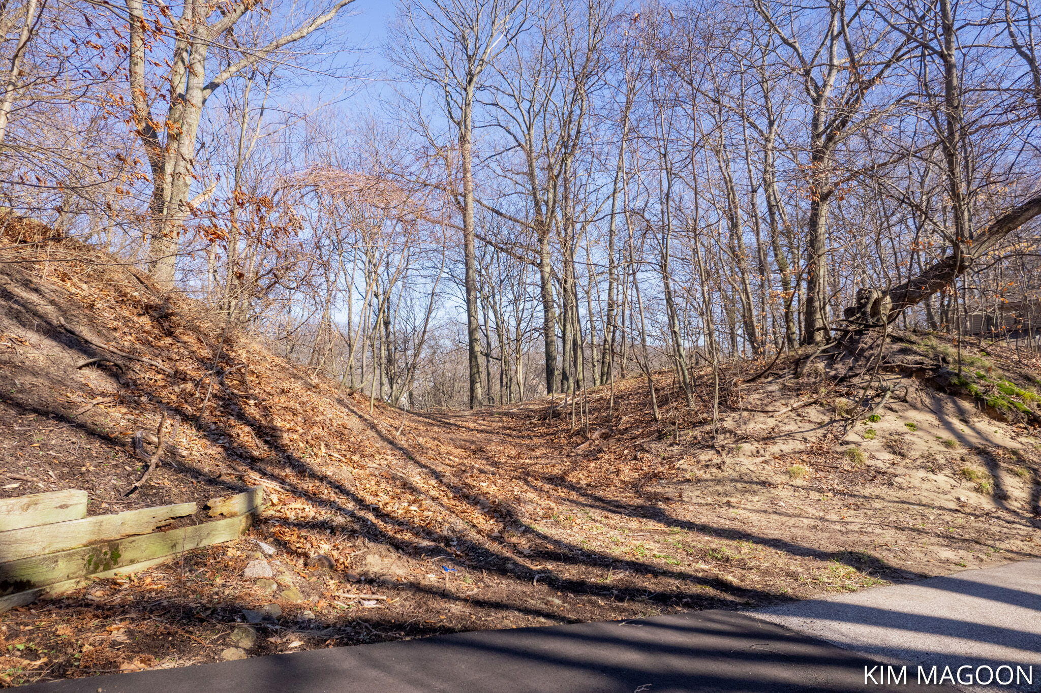 Lot 45 Valleywood Court Holland MI 49423