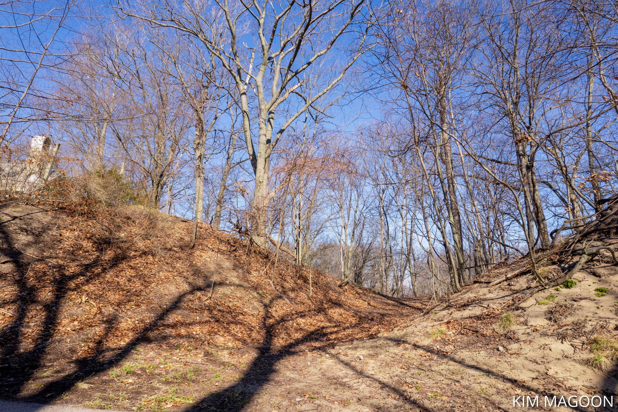 Lot 45 Valleywood Court Holland MI 49423