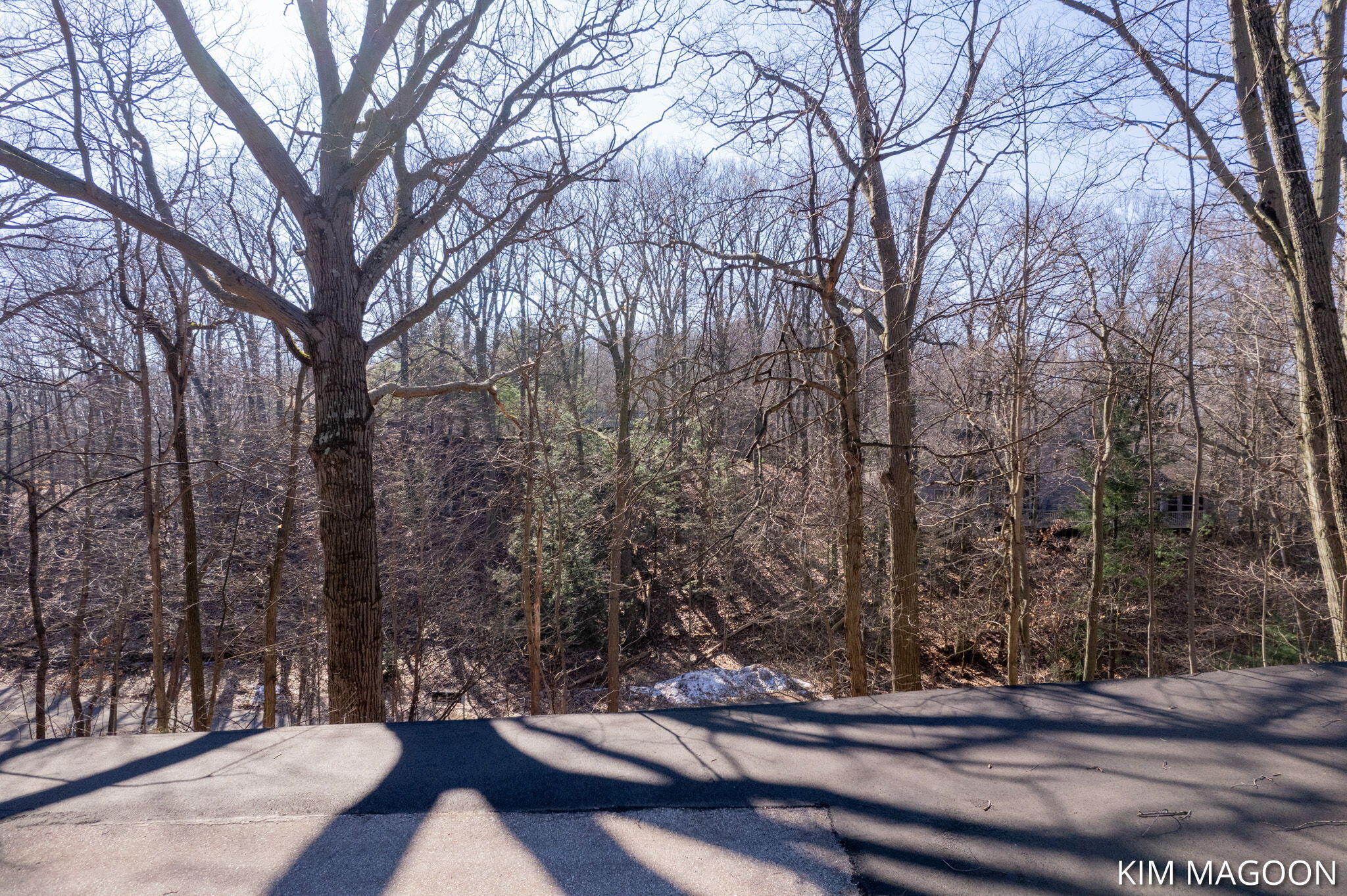 Lot 45 Valleywood Court Holland MI 49423