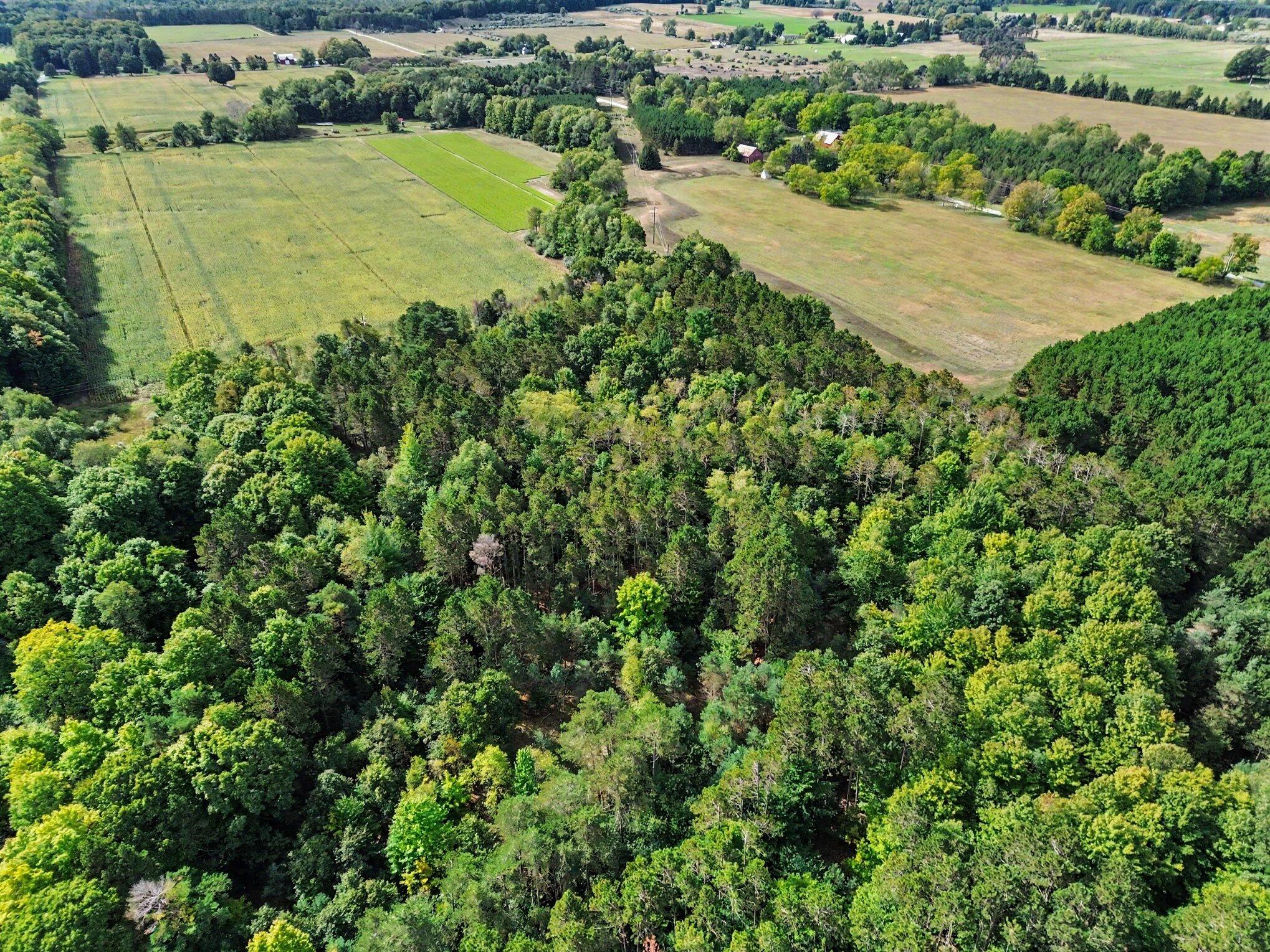 S Stiles Road Ludington MI 49431