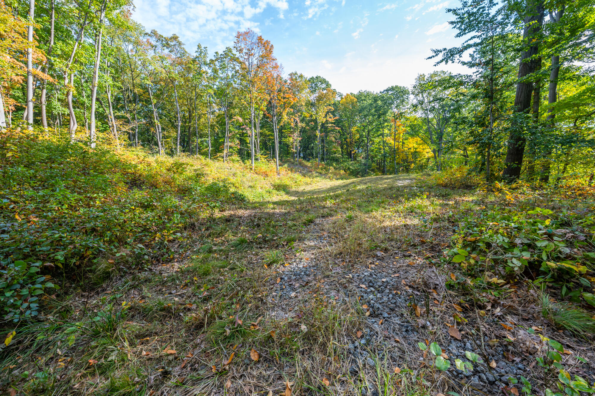 44780 Blue Star Highway Covert MI 49043