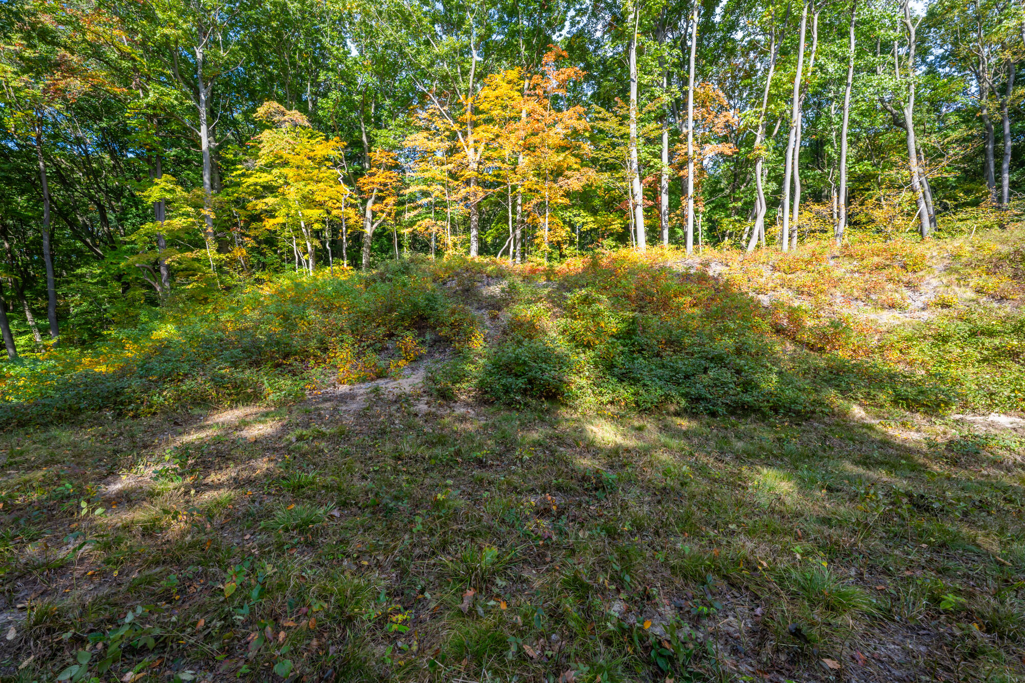 44780 Blue Star Highway Covert MI 49043