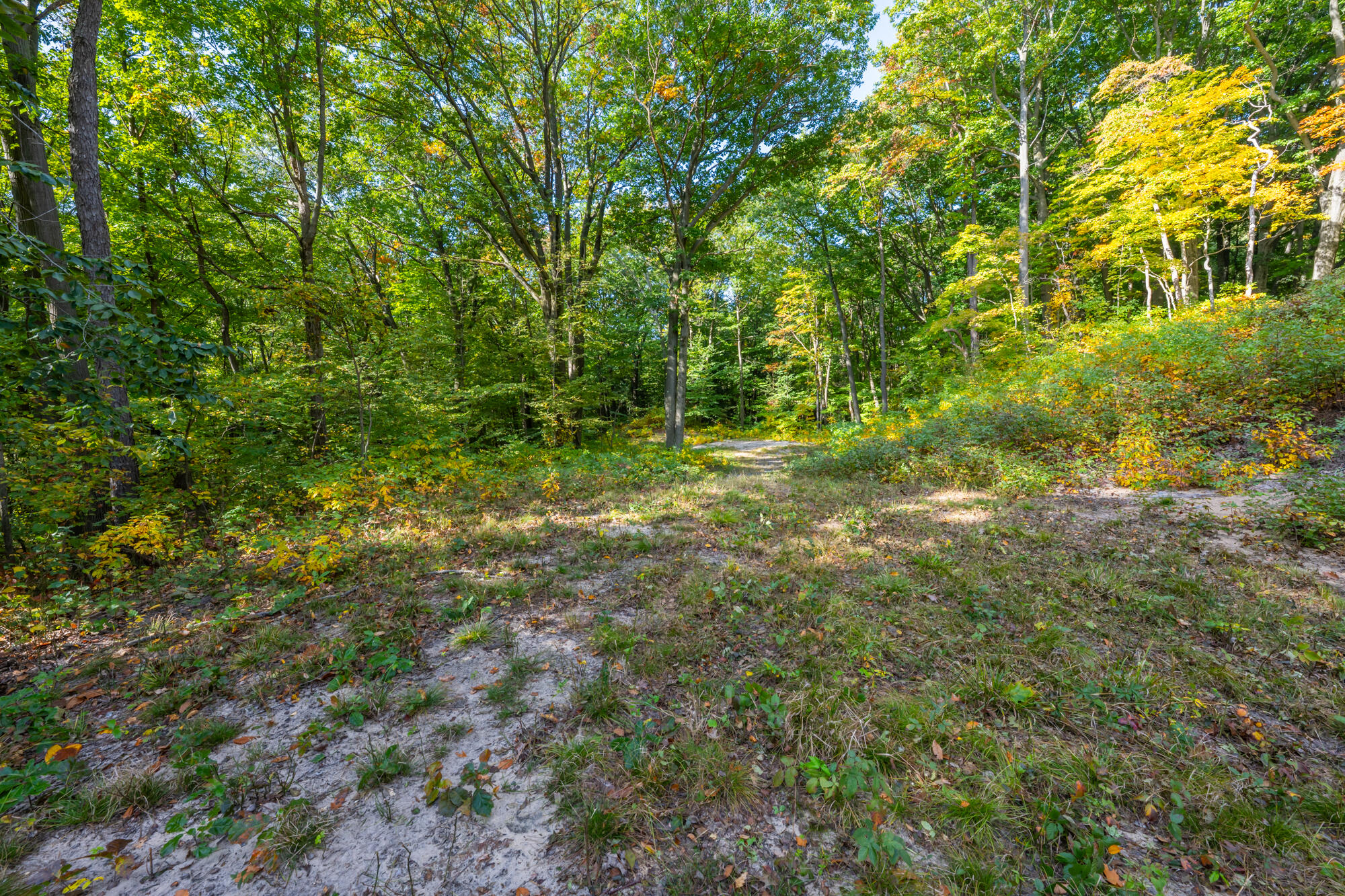 44780 Blue Star Highway Covert MI 49043