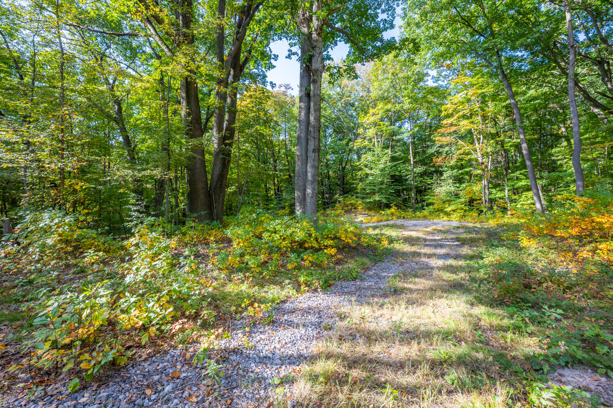 44780 Blue Star Highway Covert MI 49043