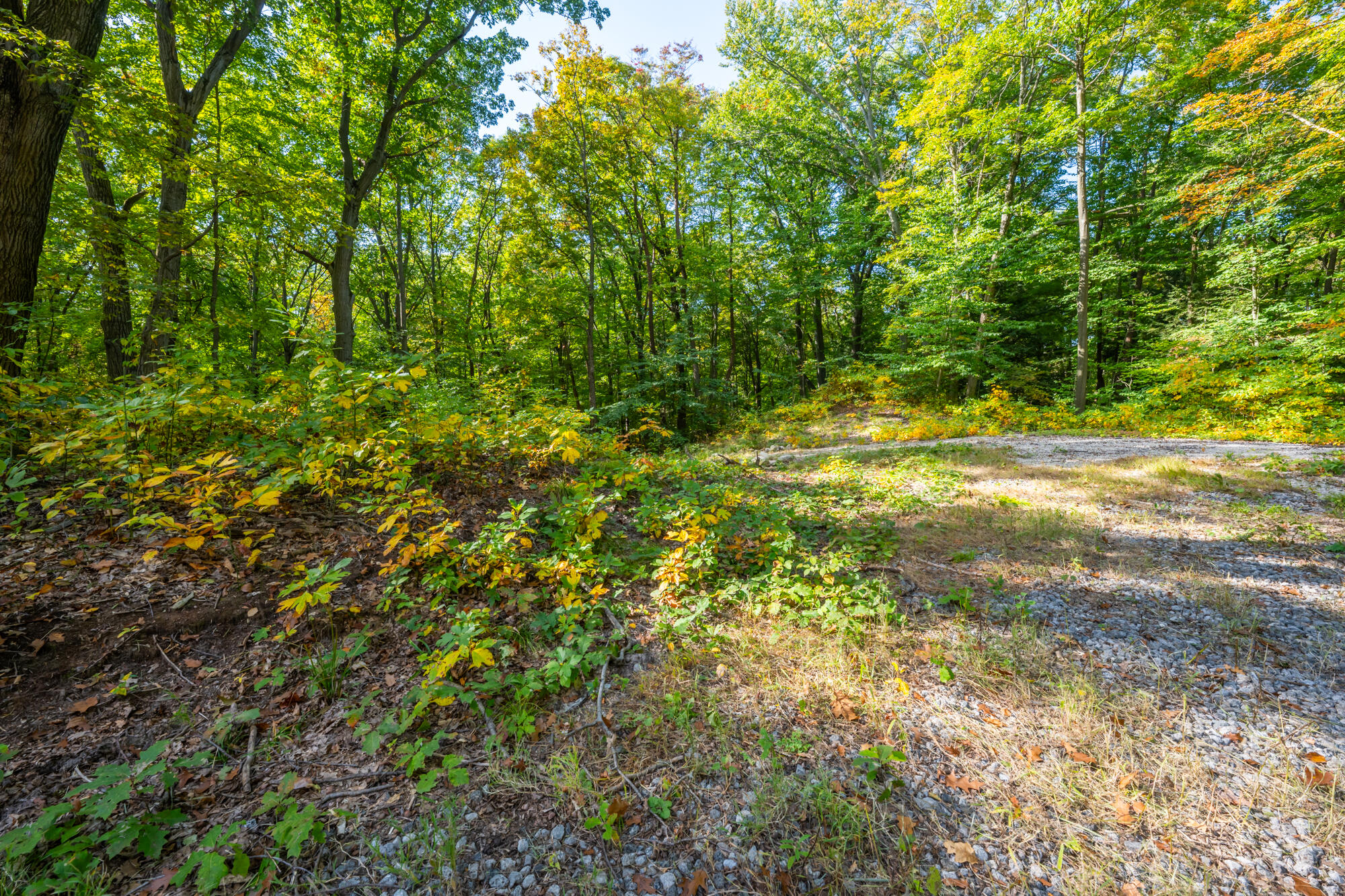 44780 Blue Star Highway Covert MI 49043