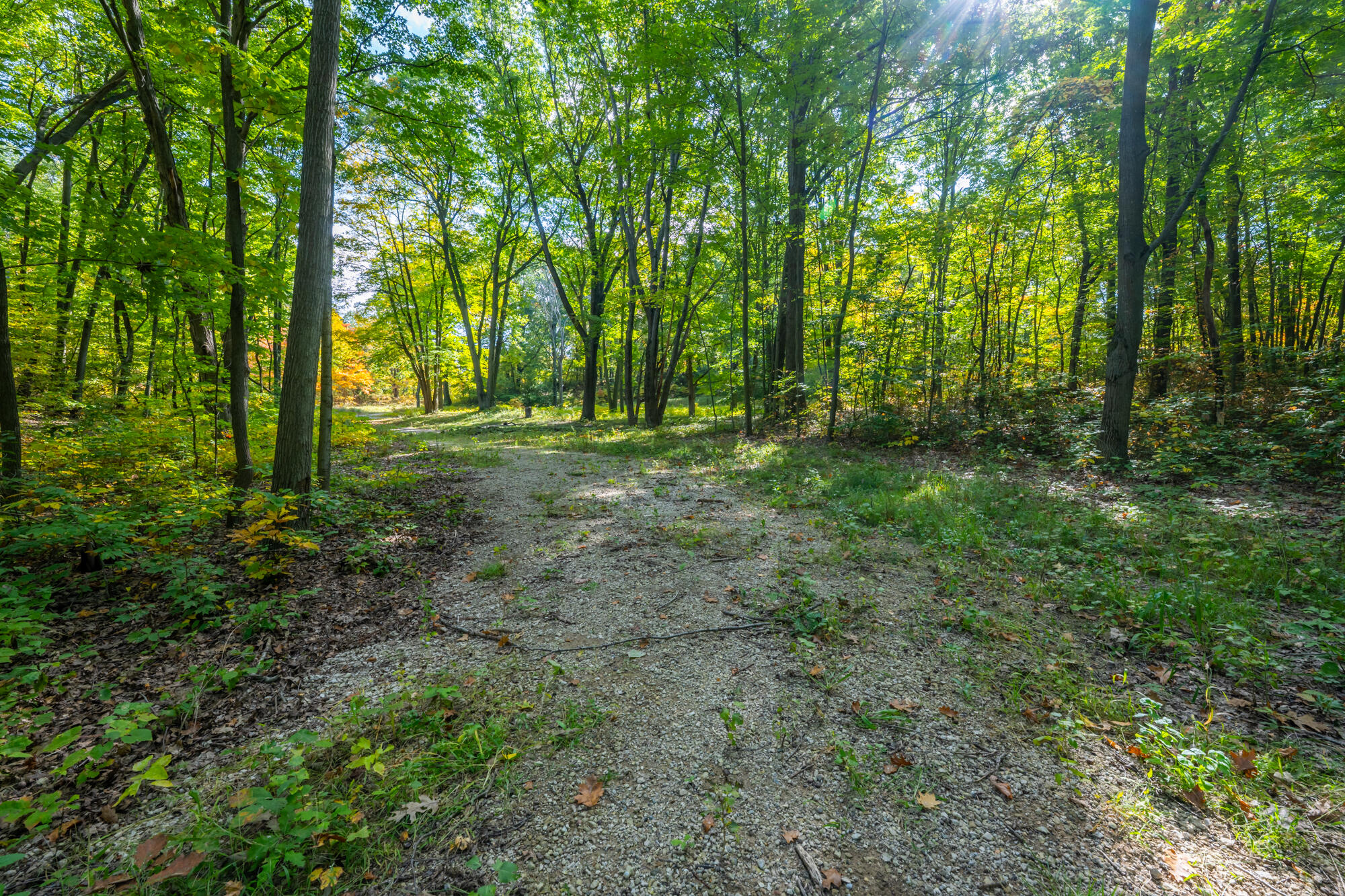 44780 Blue Star Highway Covert MI 49043