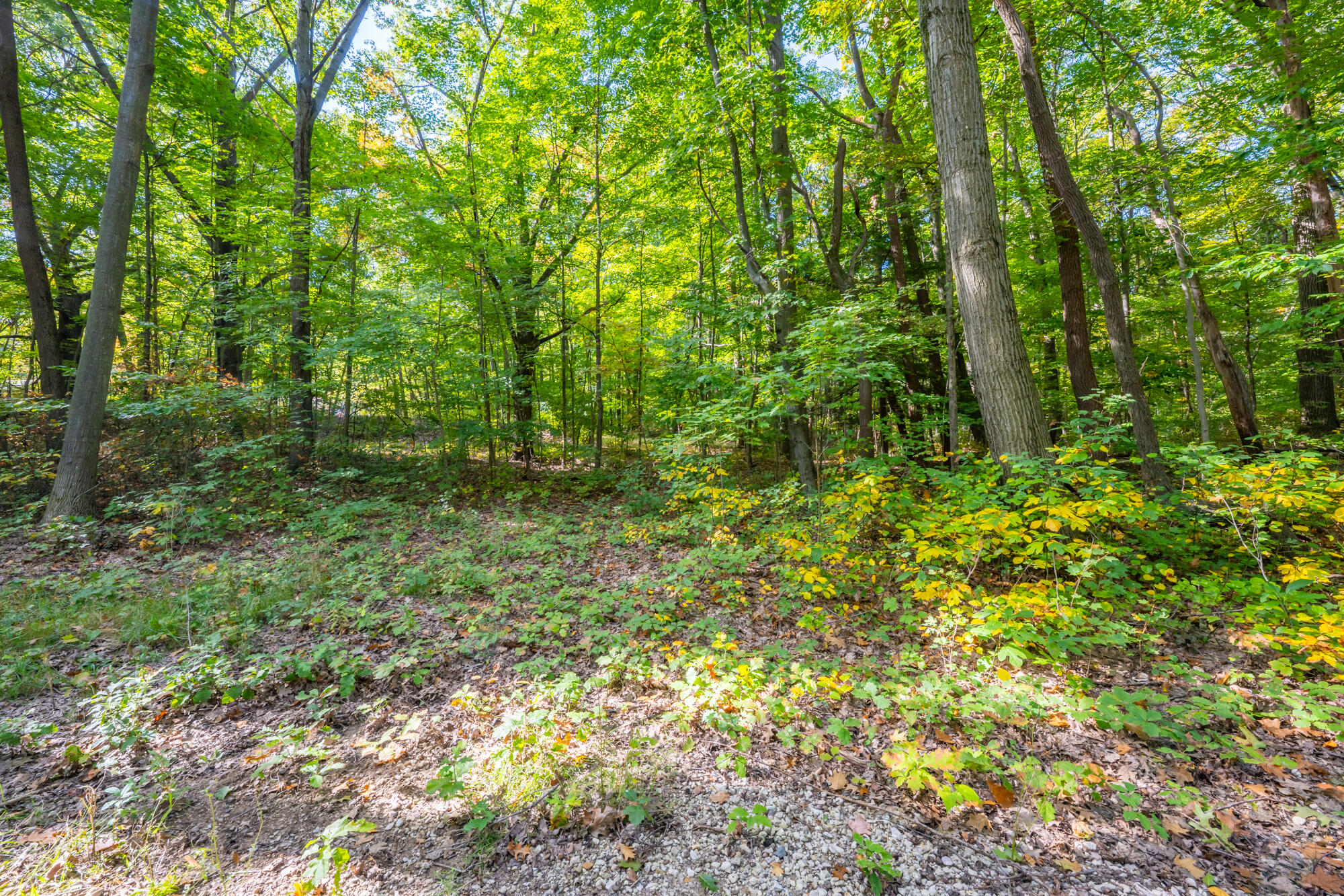 44780 Blue Star Highway Covert MI 49043