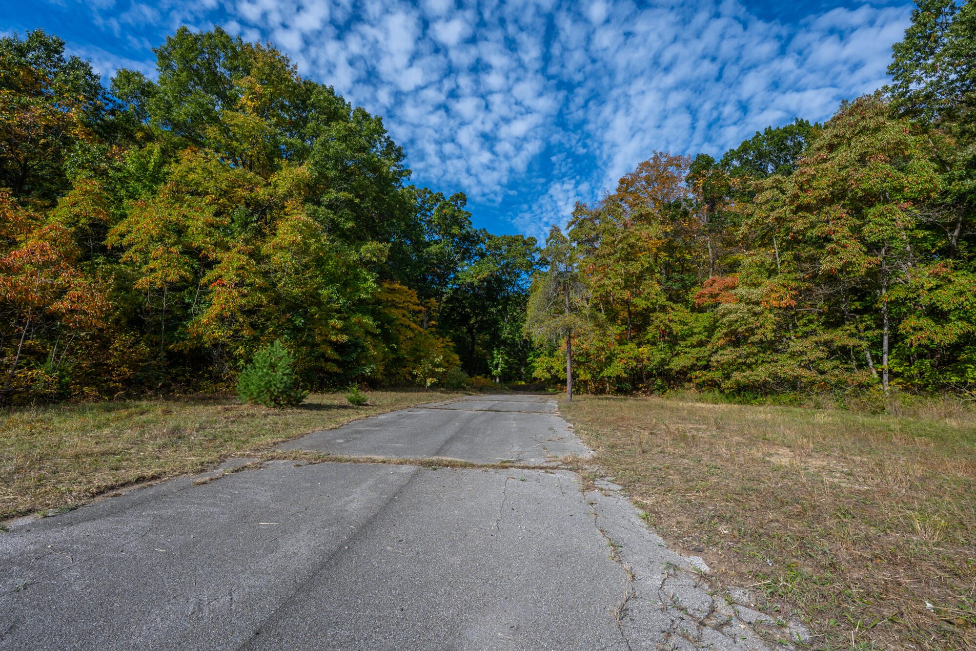 44780 Blue Star Highway Covert MI 49043