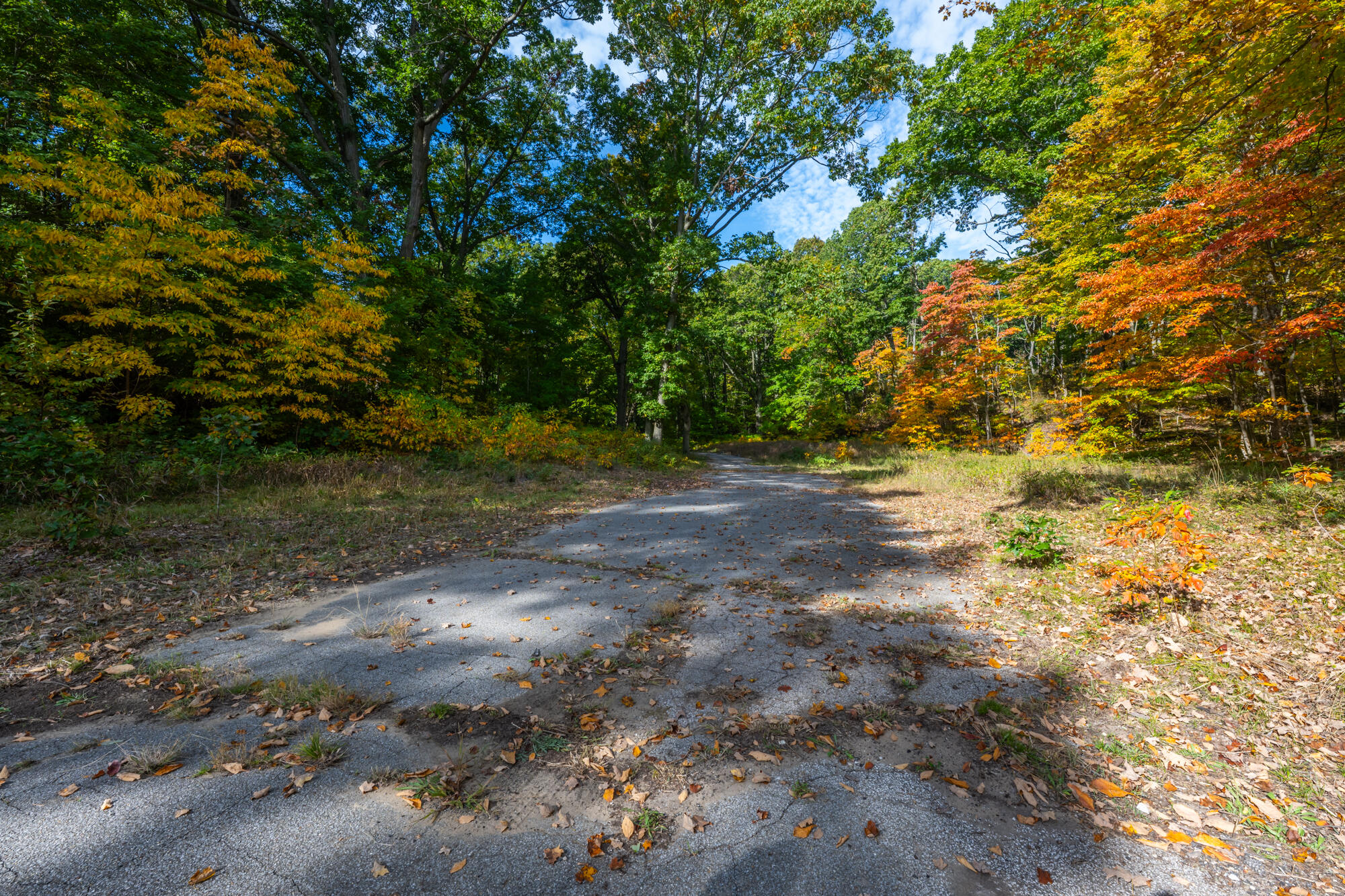 44780 Blue Star Highway Covert MI 49043