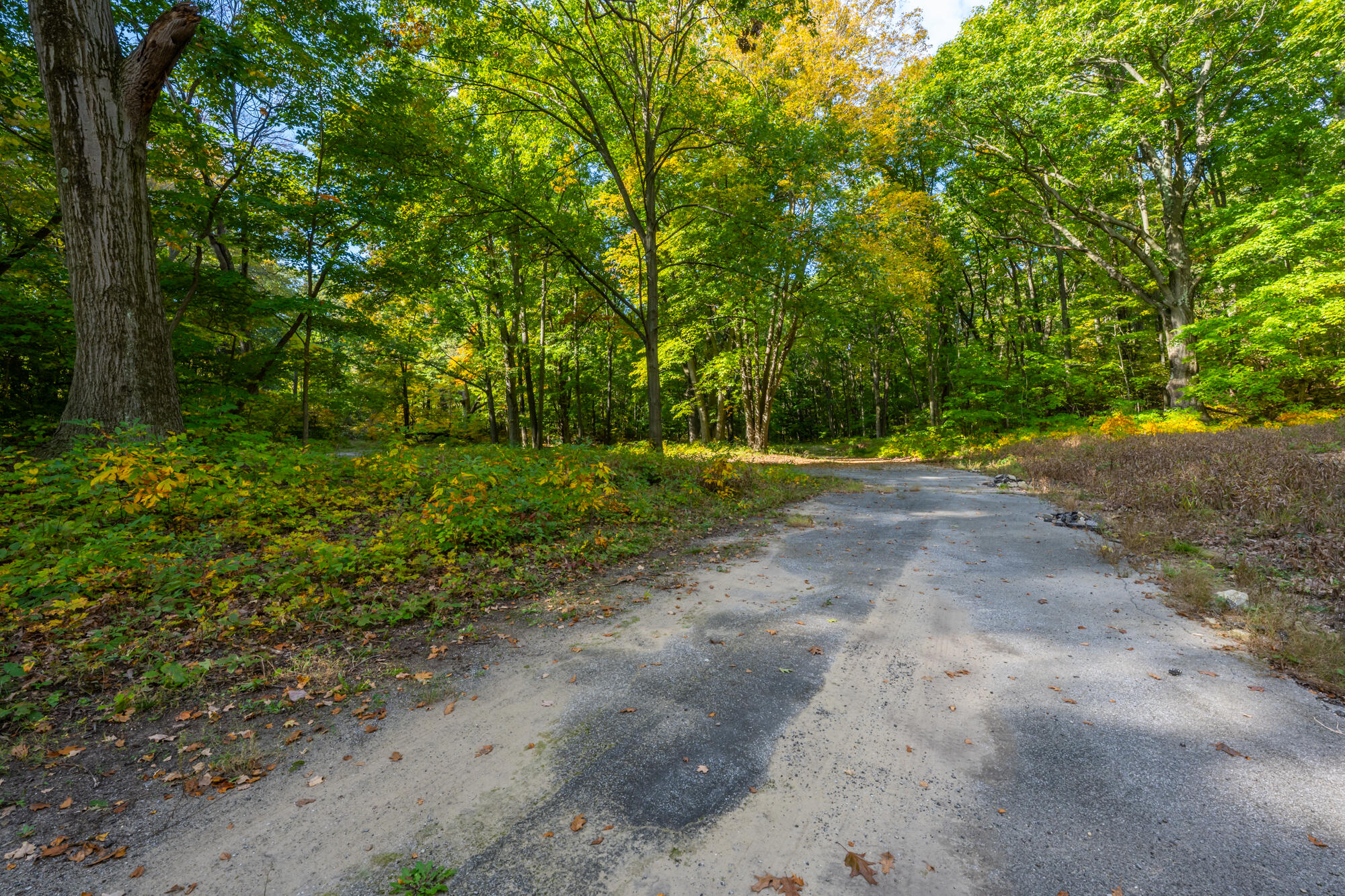 44780 Blue Star Highway Covert MI 49043