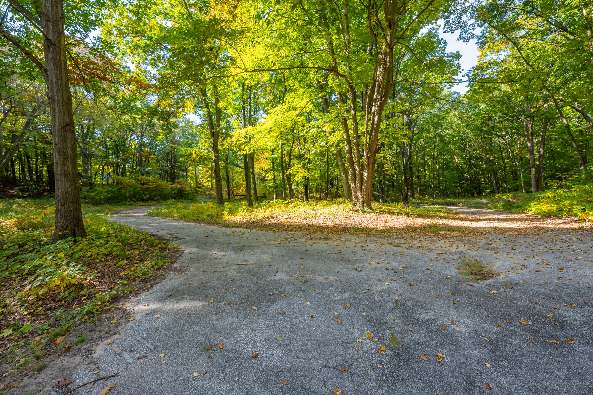 44780 Blue Star Highway Covert MI 49043