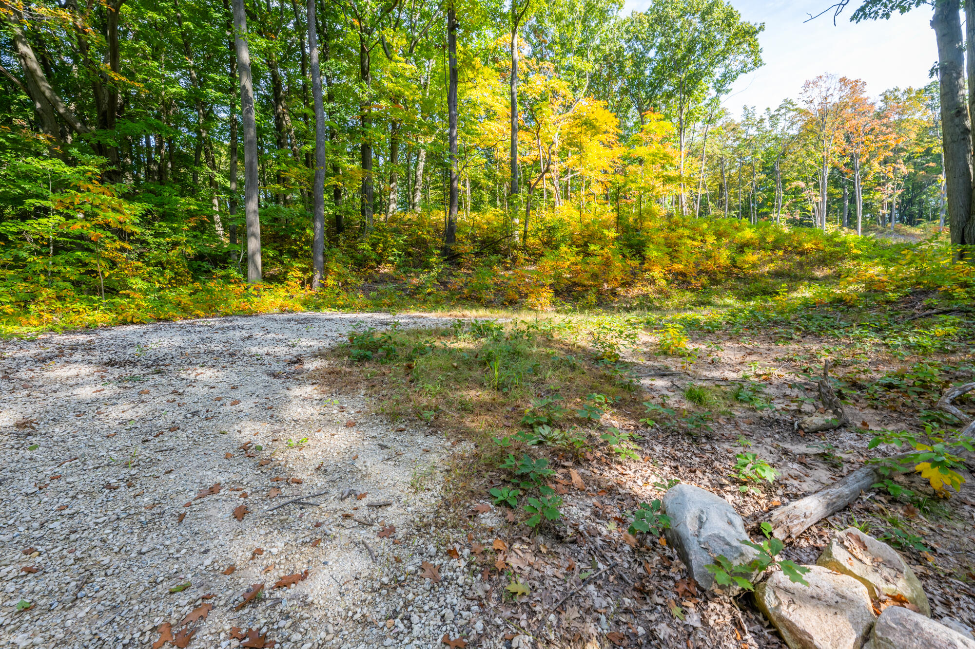 44780 Blue Star Highway Covert MI 49043