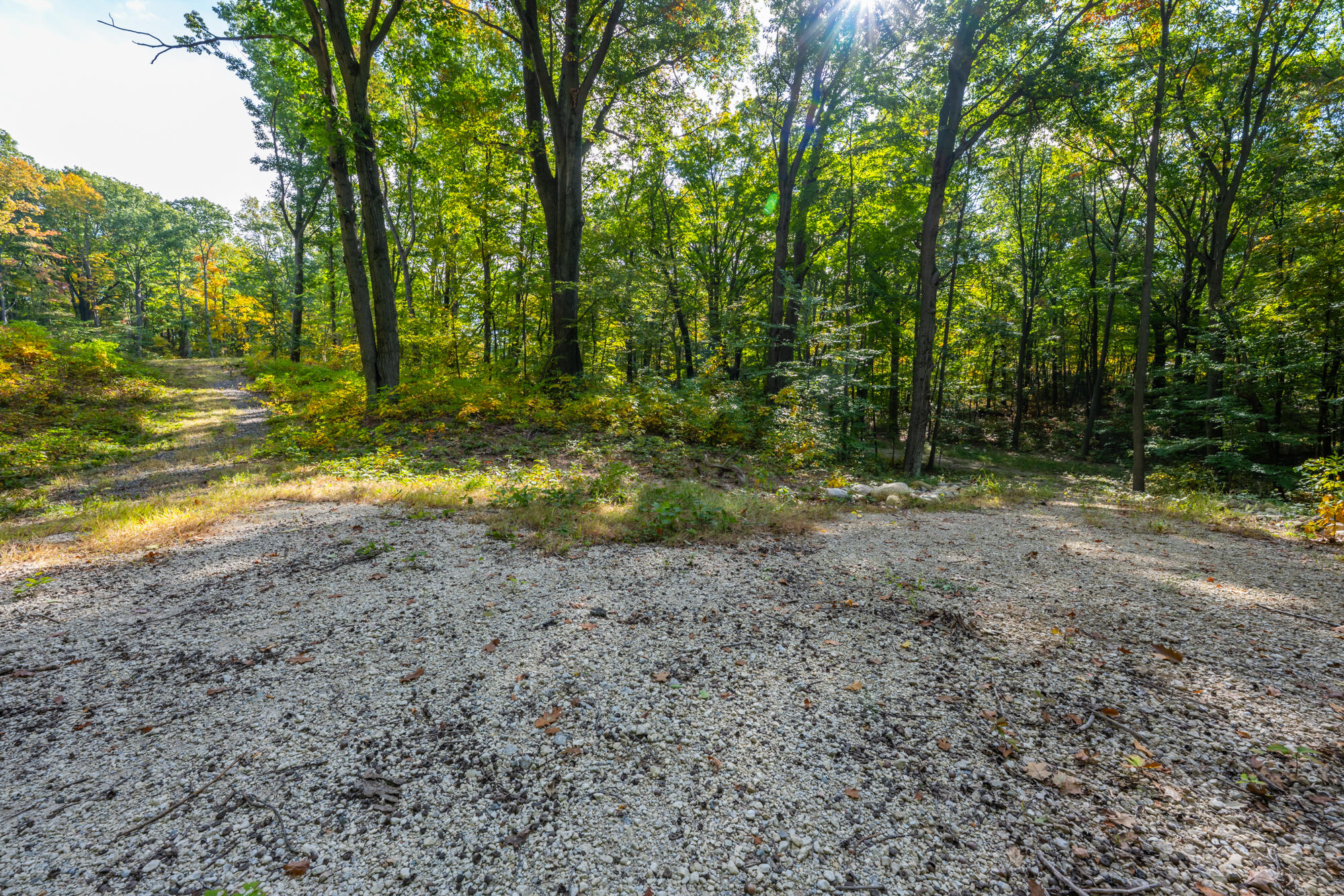 44780 Blue Star Highway Covert MI 49043