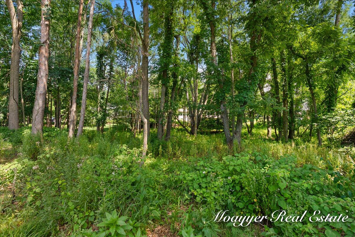 2549 Ashwood Court SE Ada MI 49301
