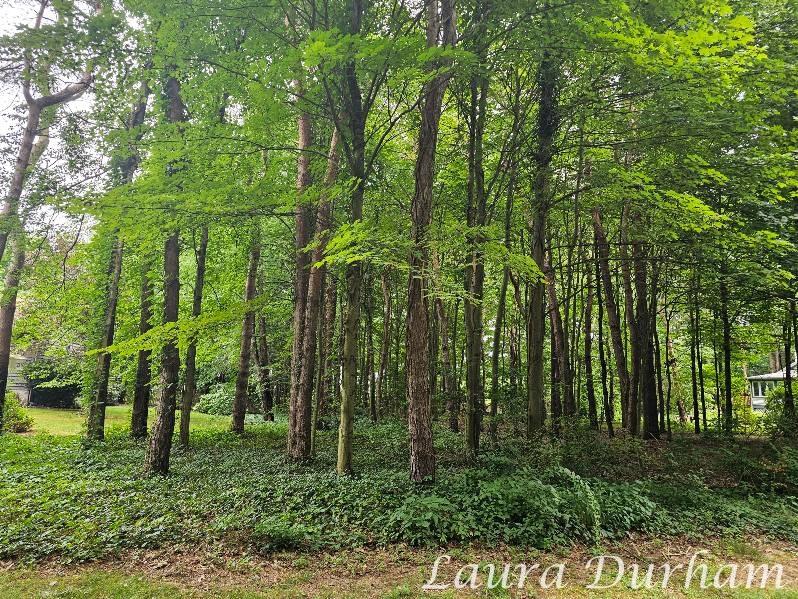 N Of 3365 Clearview Lane Saugatuck MI 49453