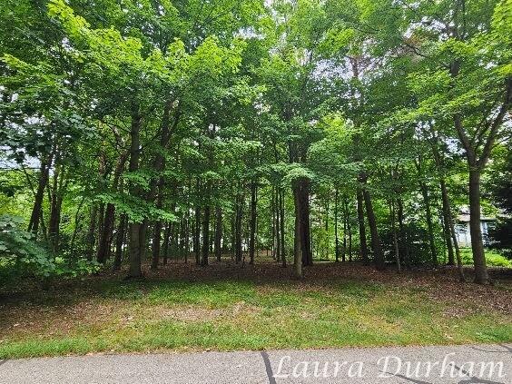 N Of 3365 Clearview Lane Saugatuck MI 49453