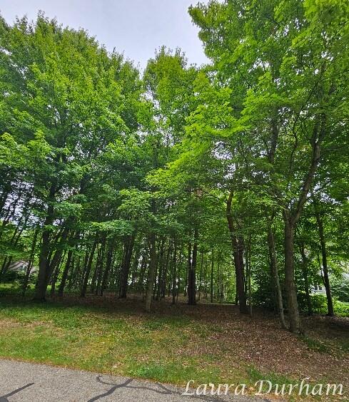 N Of 3365 Clearview Lane Saugatuck MI 49453