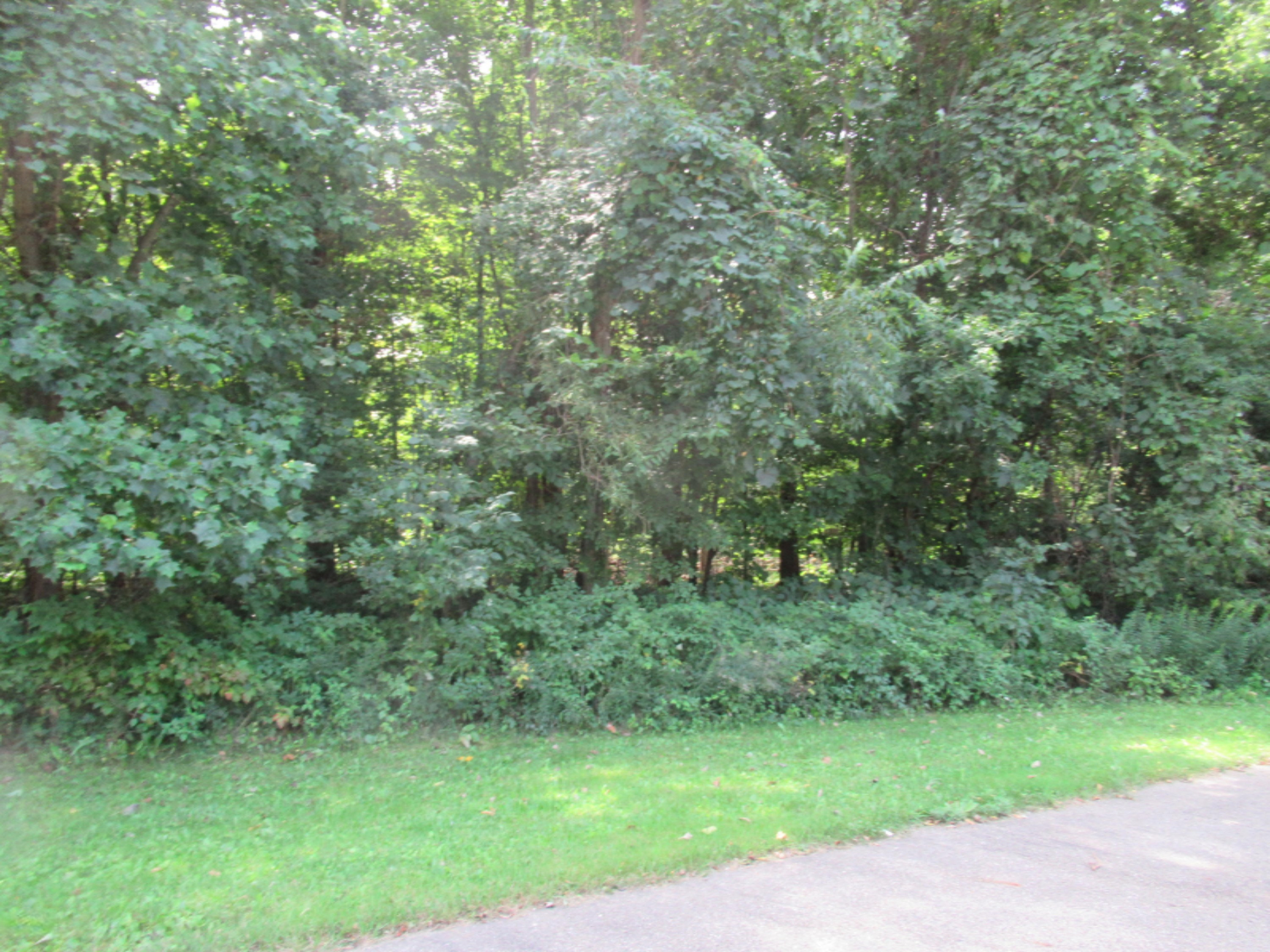 Tract 1 Deep Woods Drive Cassopolis MI 49031