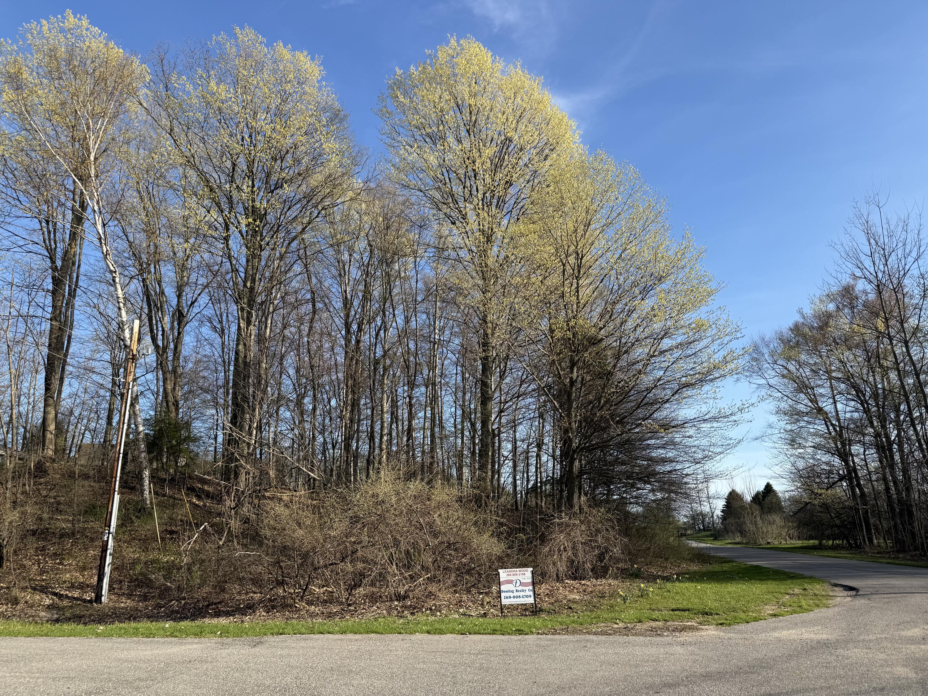 W Snead Drive Ludington MI 49431
