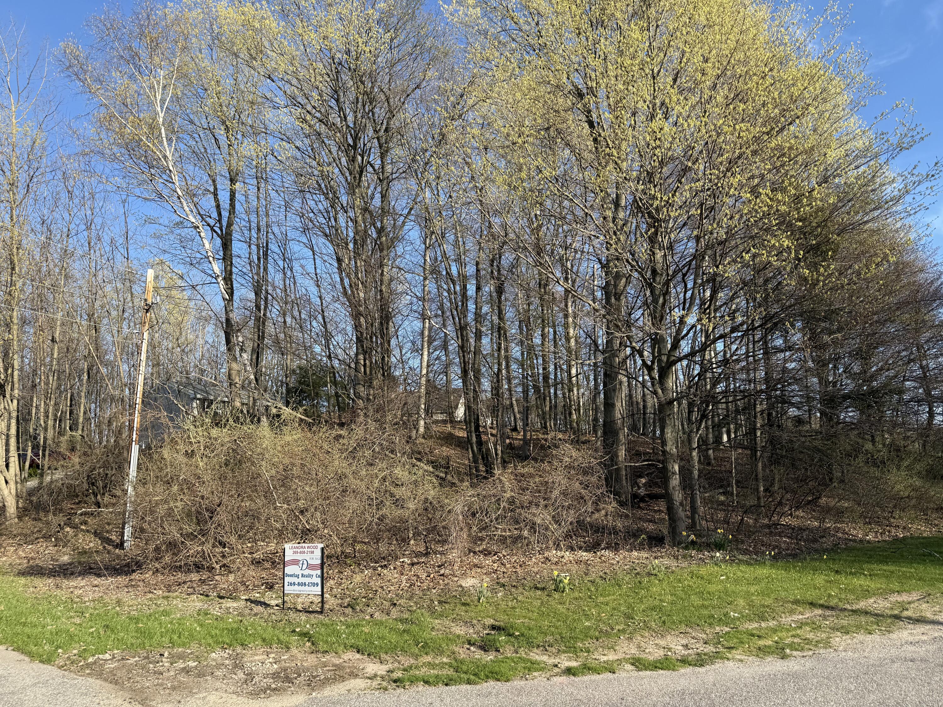 W Snead Drive Ludington MI 49431