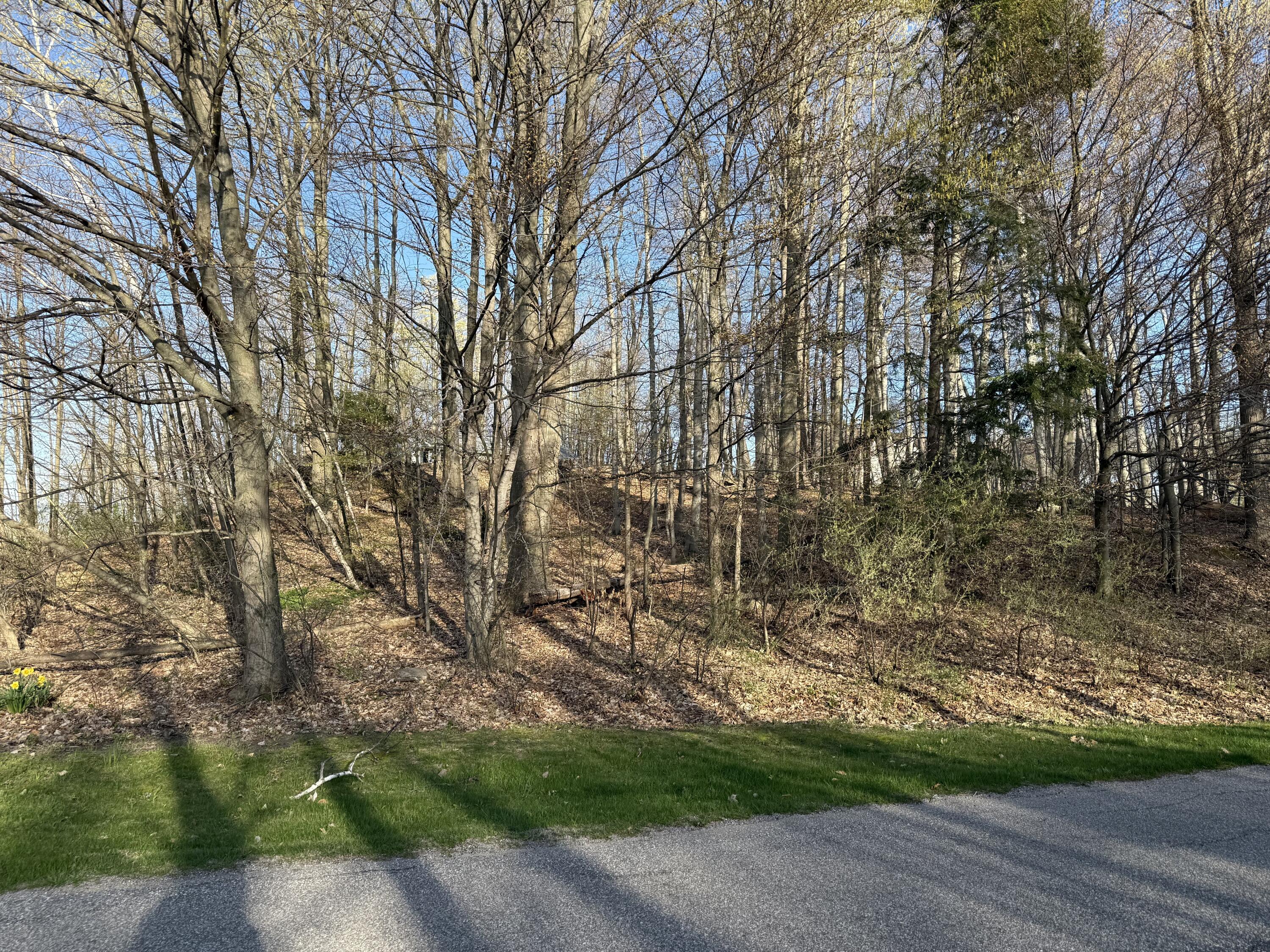 W Snead Drive Ludington MI 49431