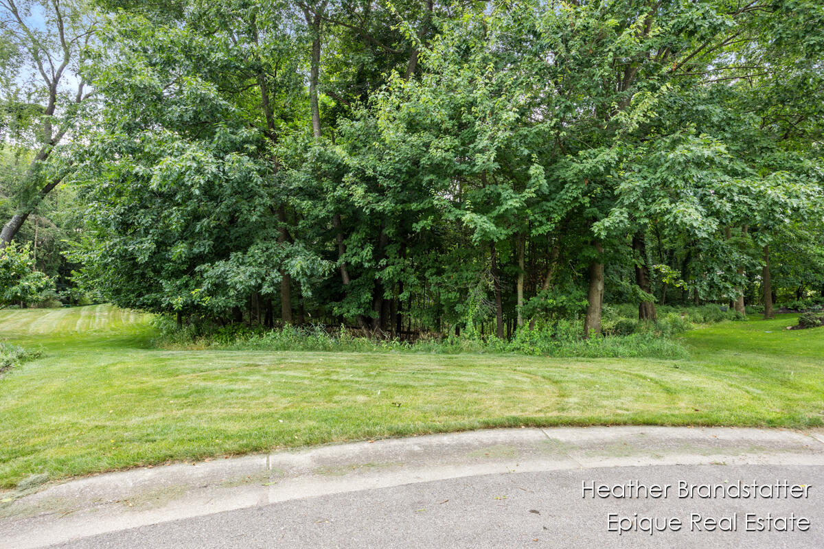 7670 Wood Violet Court SE Court SE Ada MI 49301