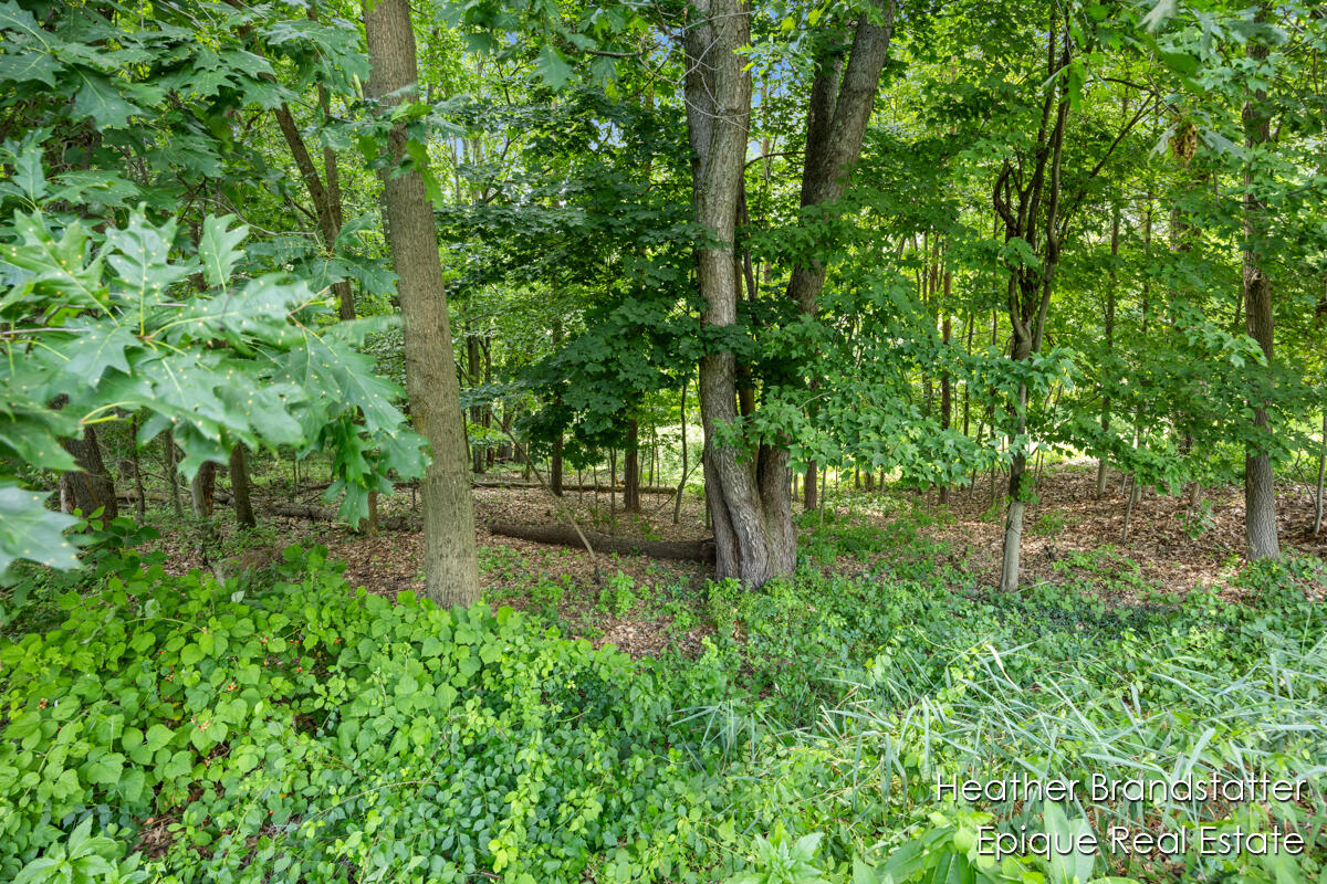 7670 Wood Violet Court SE Court SE Ada MI 49301