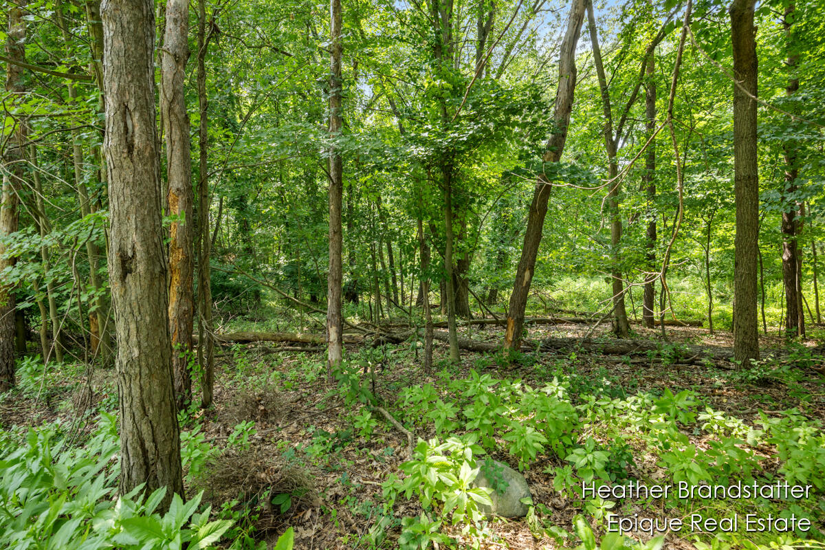 7670 Wood Violet Court SE Court SE Ada MI 49301