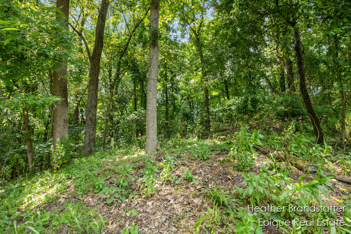 7670 Wood Violet Court SE Court SE Ada MI 49301
