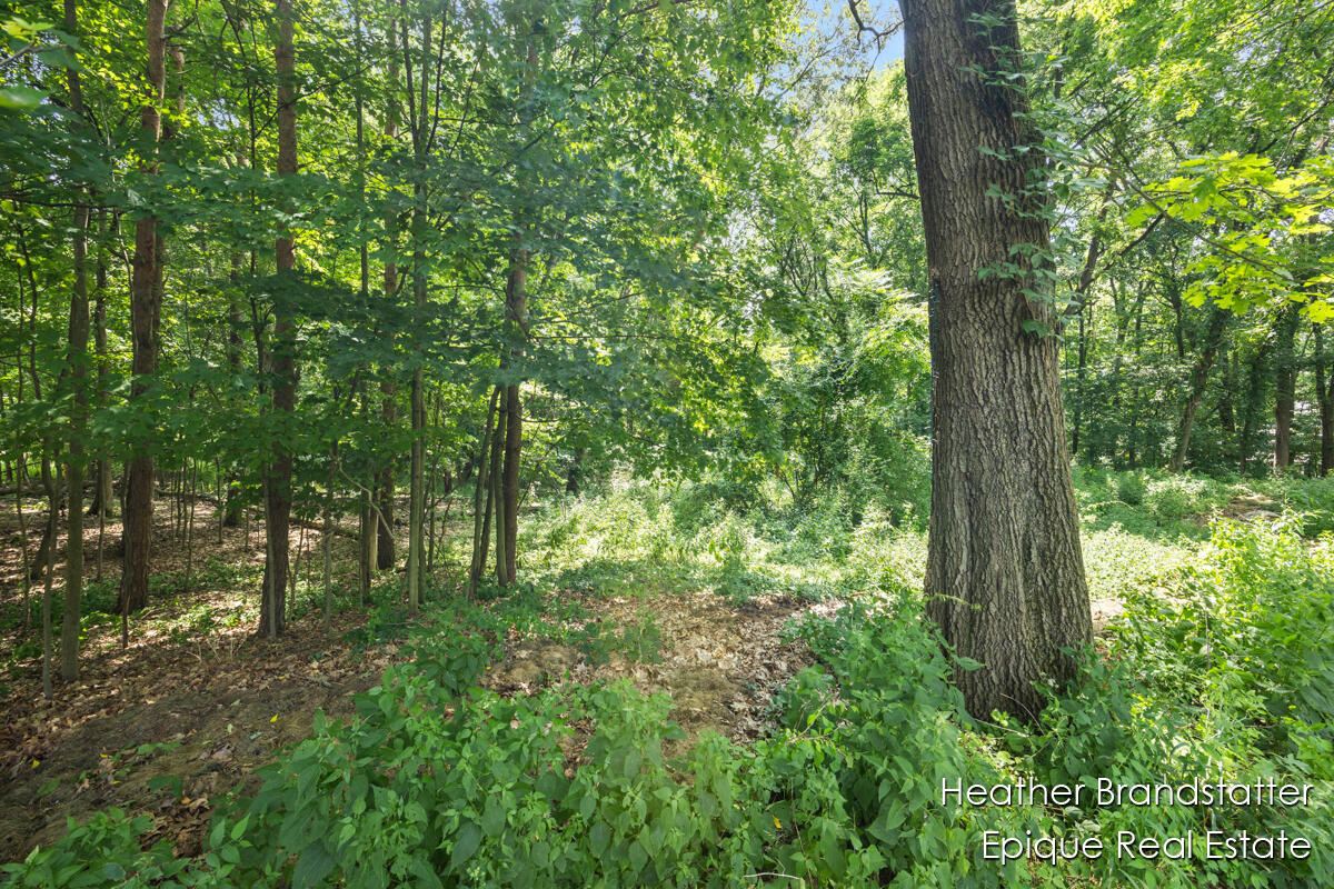7670 Wood Violet Court SE Court SE Ada MI 49301