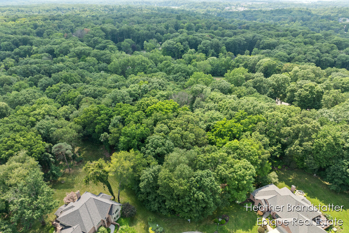7670 Wood Violet Court SE Court SE Ada MI 49301