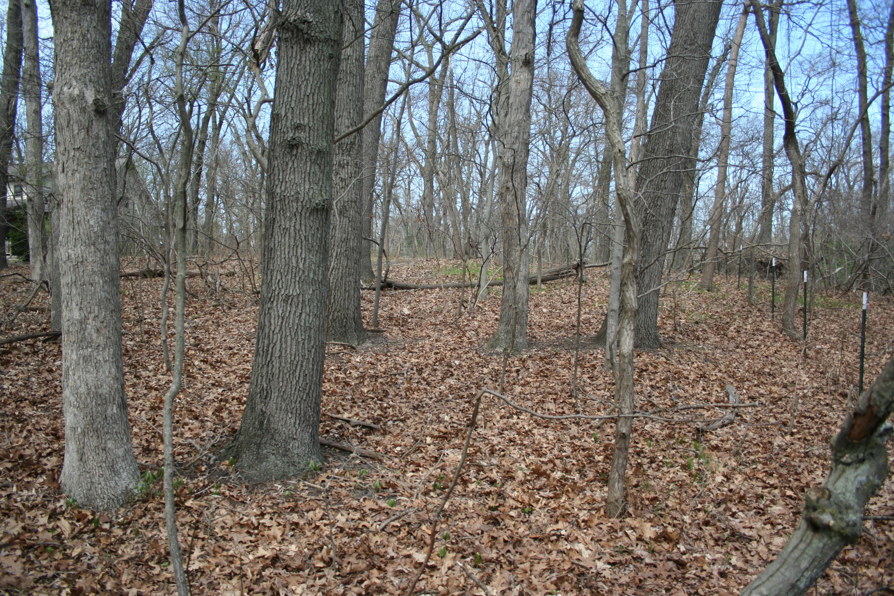 14386 Wolf Lane New Buffalo MI 49117