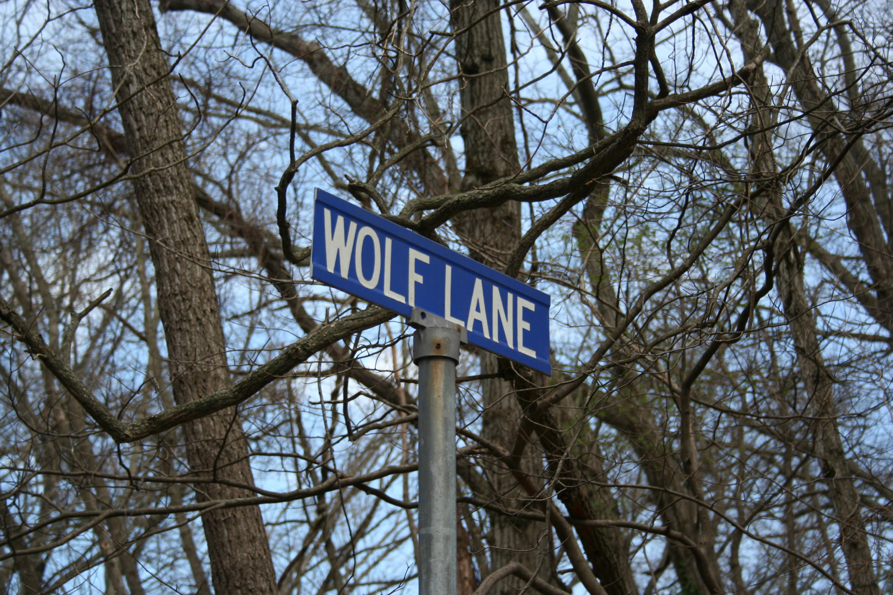 14386 Wolf Lane New Buffalo MI 49117