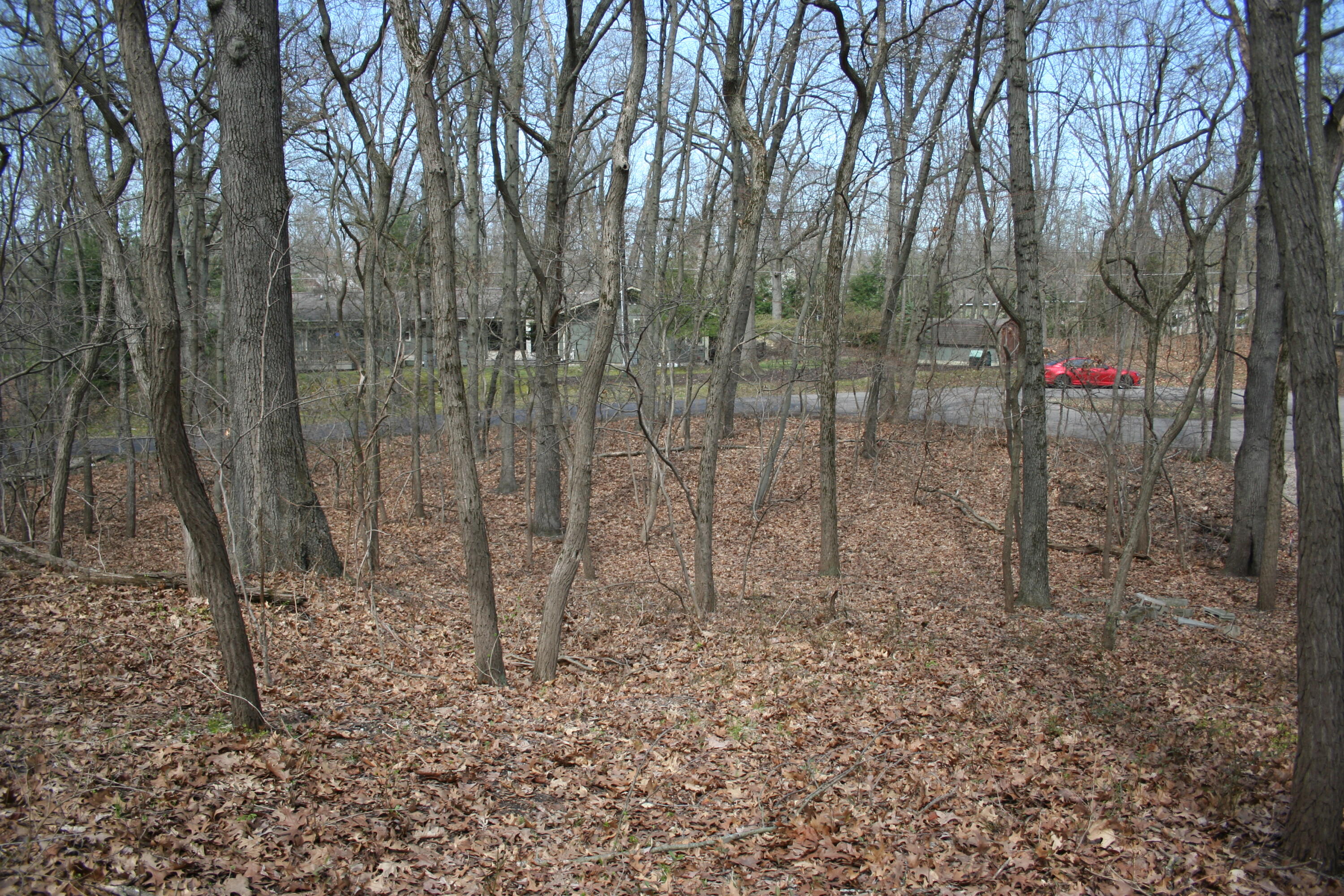 14386 Wolf Lane New Buffalo MI 49117