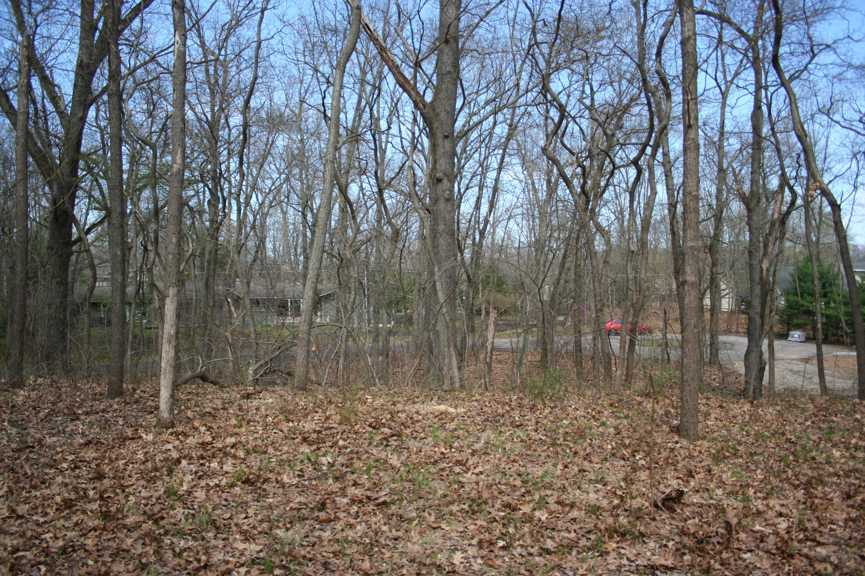 14386 Wolf Lane New Buffalo MI 49117