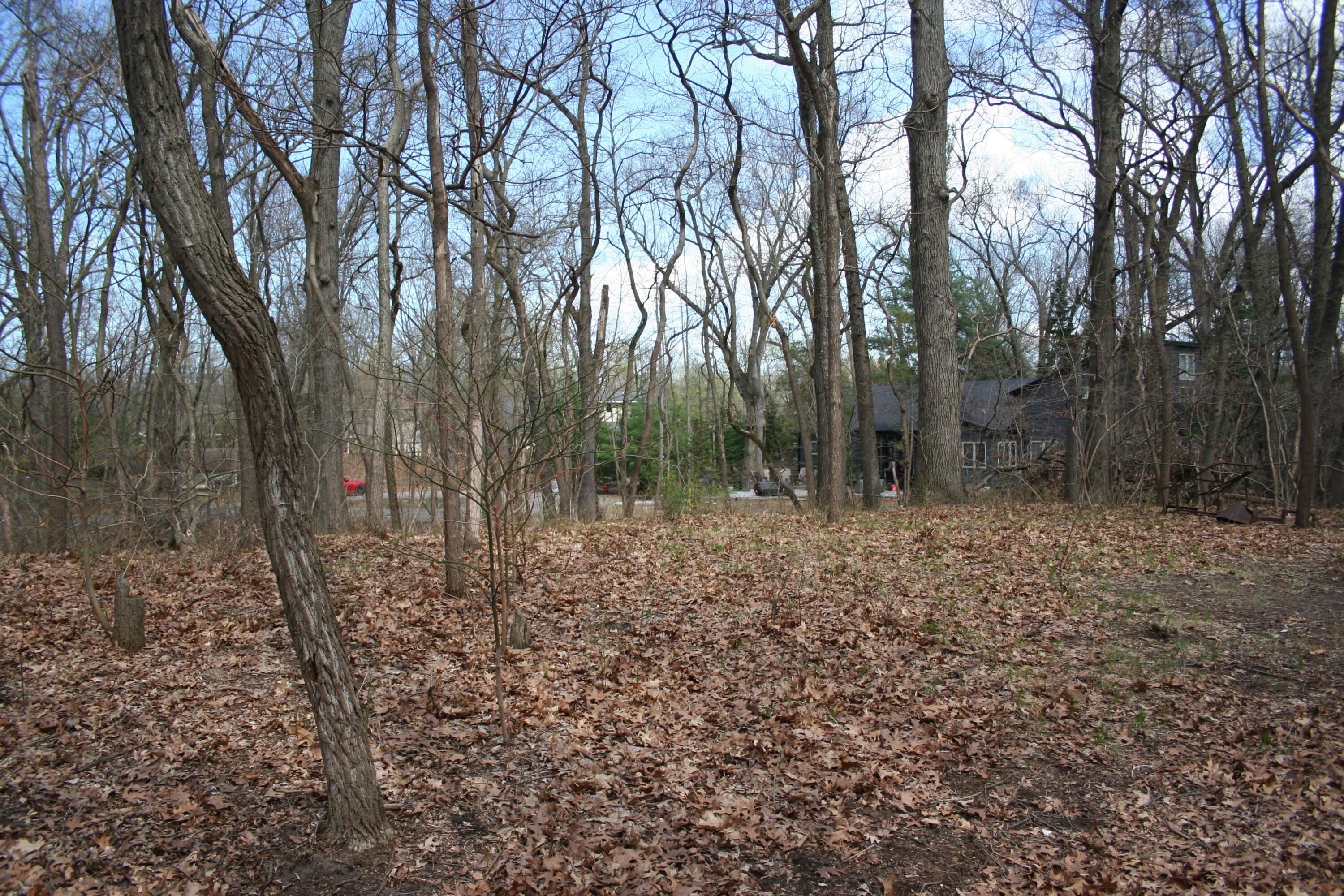 14386 Wolf Lane New Buffalo MI 49117