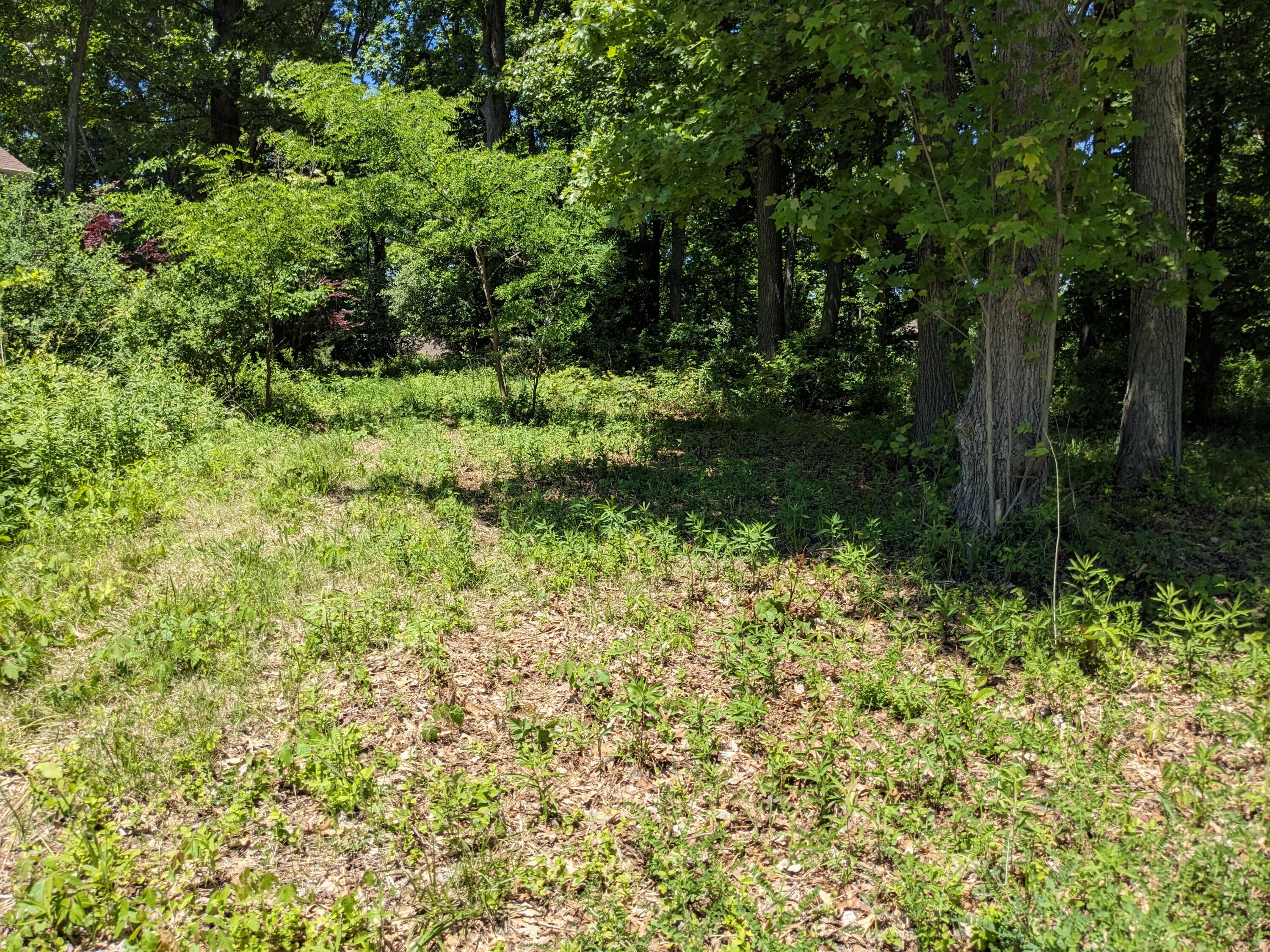 816 & 820 E Indiana Circle New Buffalo MI 49117
