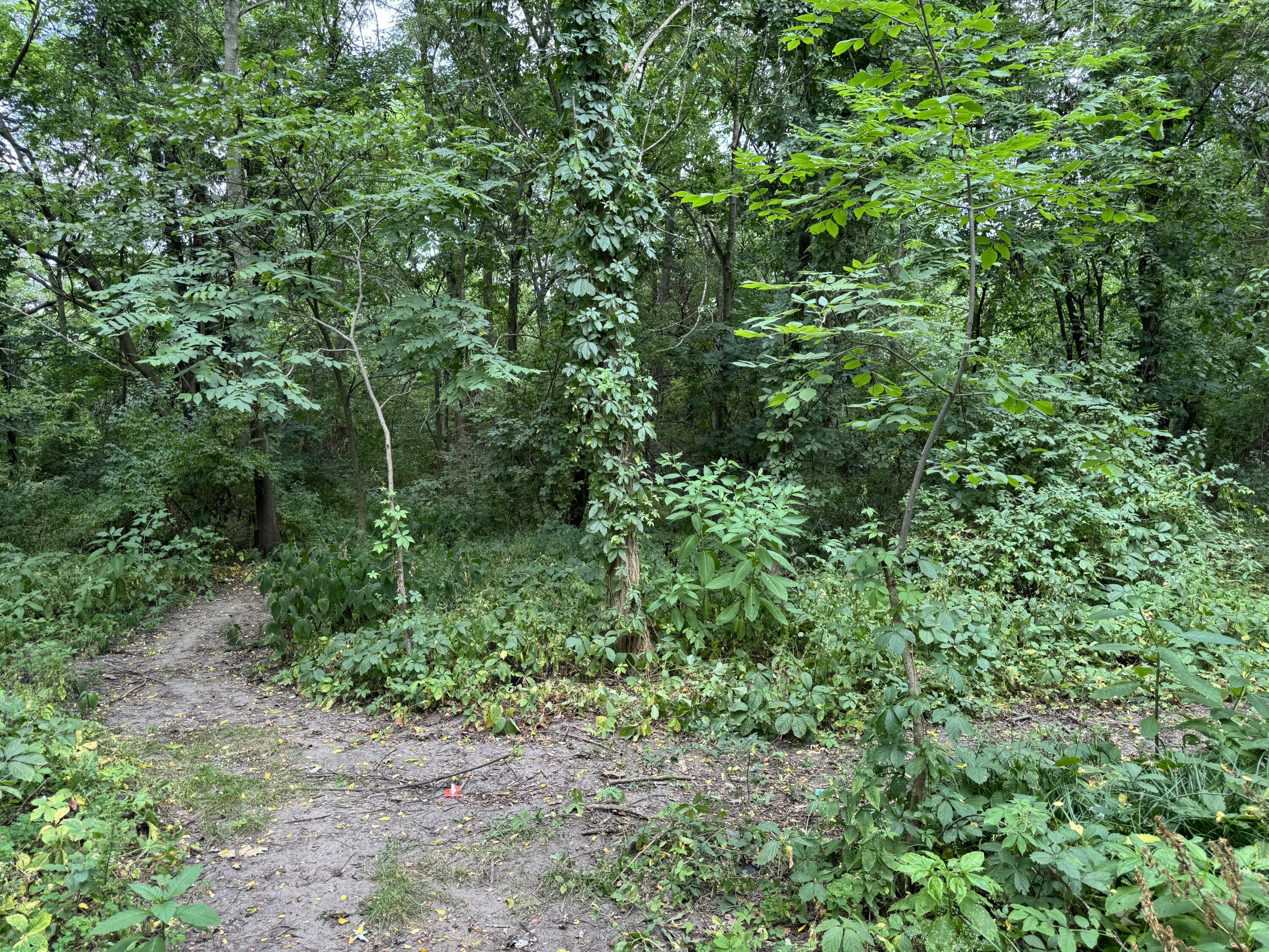 5708 Division S Grand Rapids MI 49548