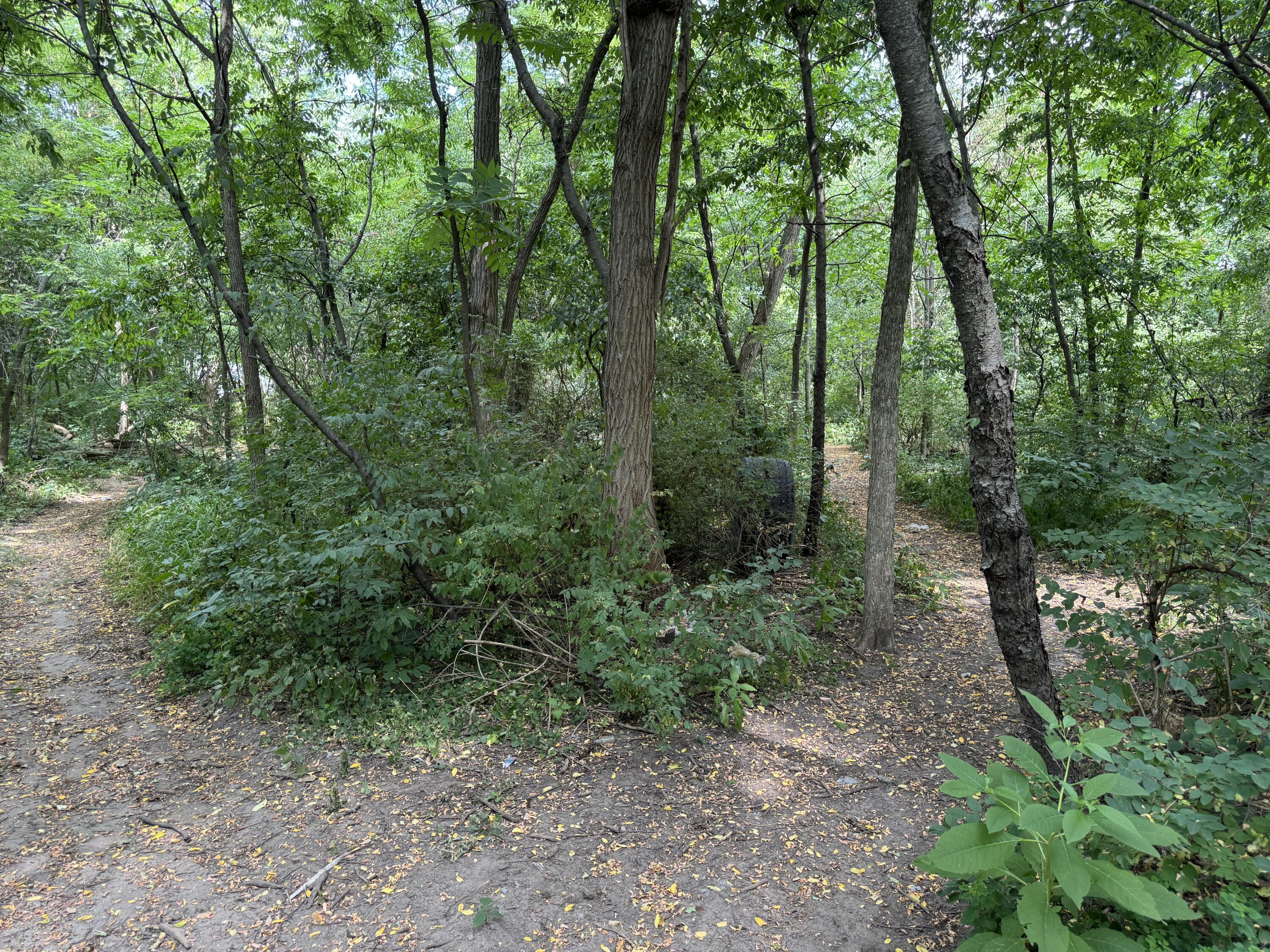 5708 Division S Grand Rapids MI 49548