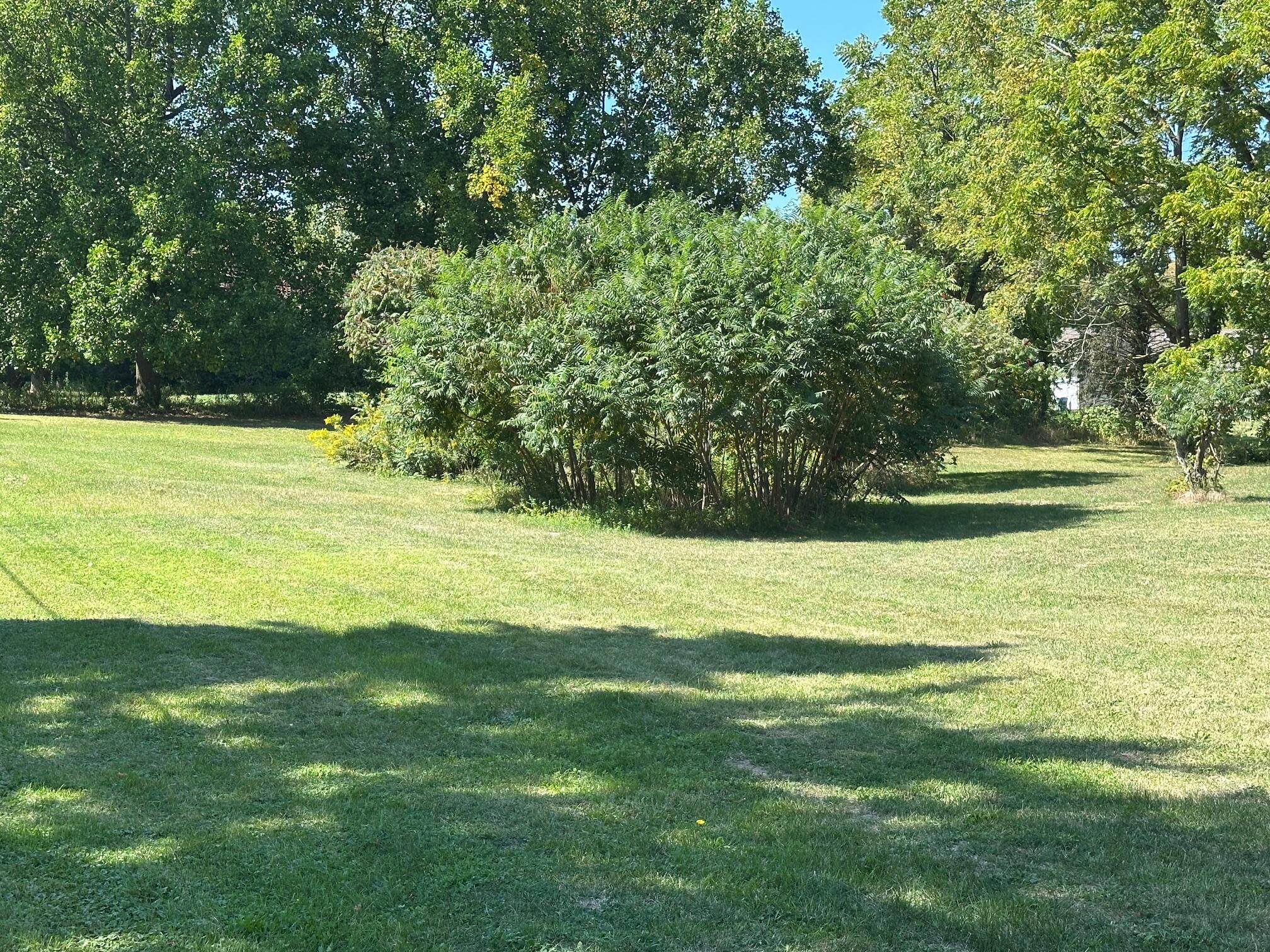 2308 Paw Paw Avenue Benton Harbor MI 49022