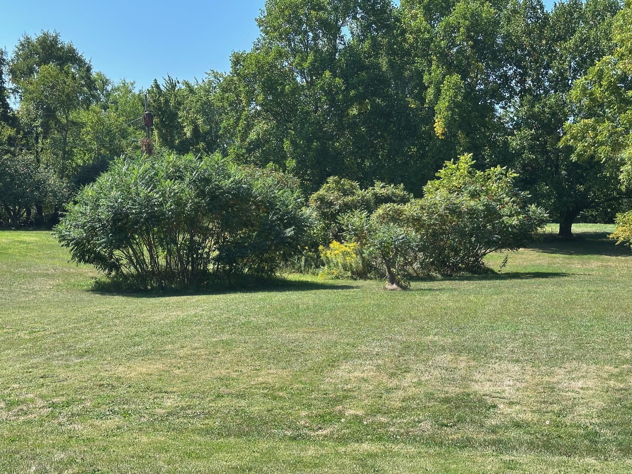 2308 Paw Paw Avenue Benton Harbor MI 49022