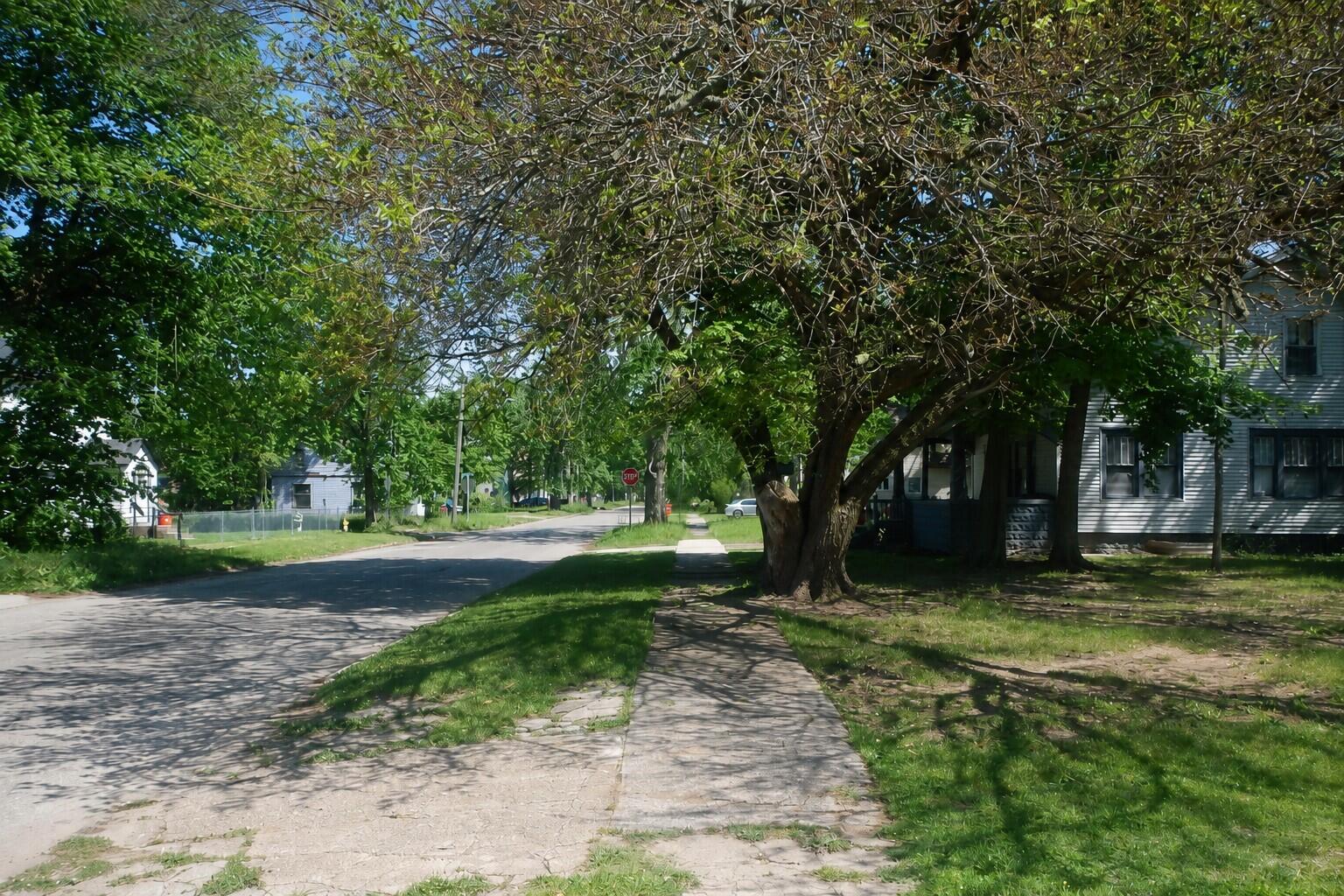 723 Pavone Street Benton Harbor MI 49022