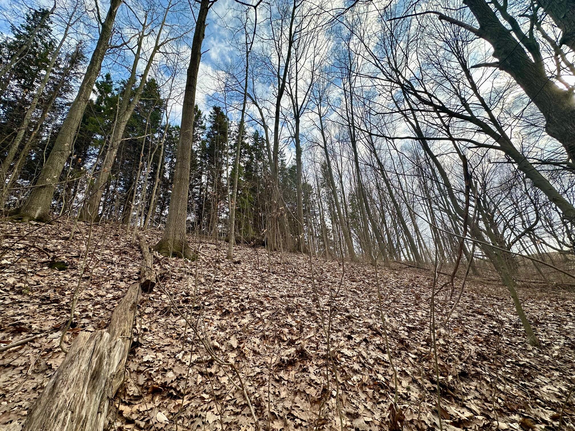 V/l S Beaune Road Ludington MI 49431