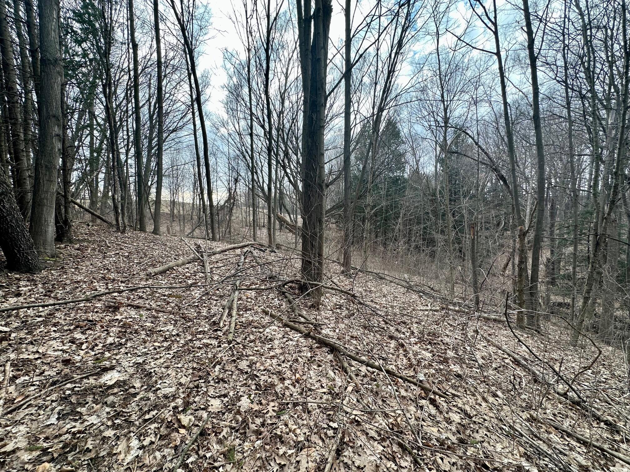 V/l S Beaune Road Ludington MI 49431
