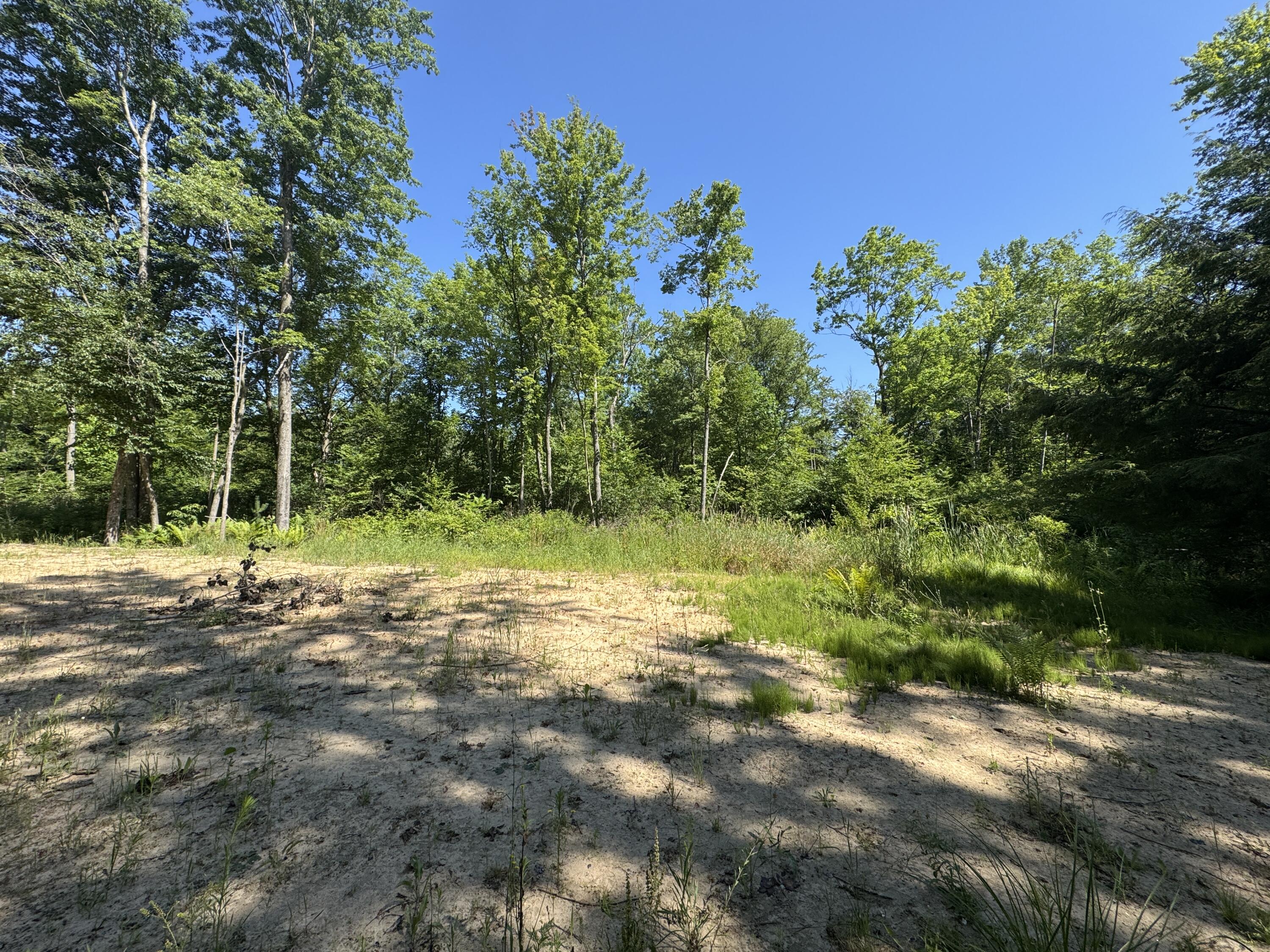 3181 53rd Street Grand Junction MI 49056